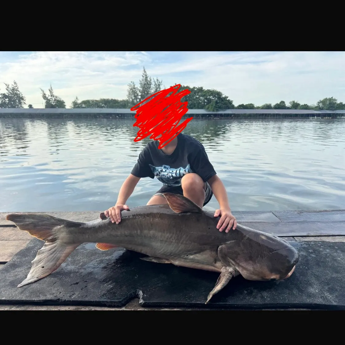 The most recent Mekong giant catfish catches on Fishbrain
