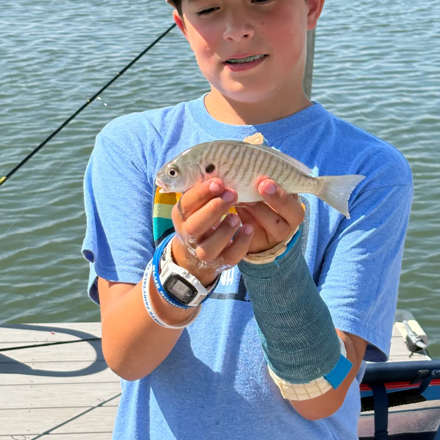 Spot croaker caught on Fishbrain