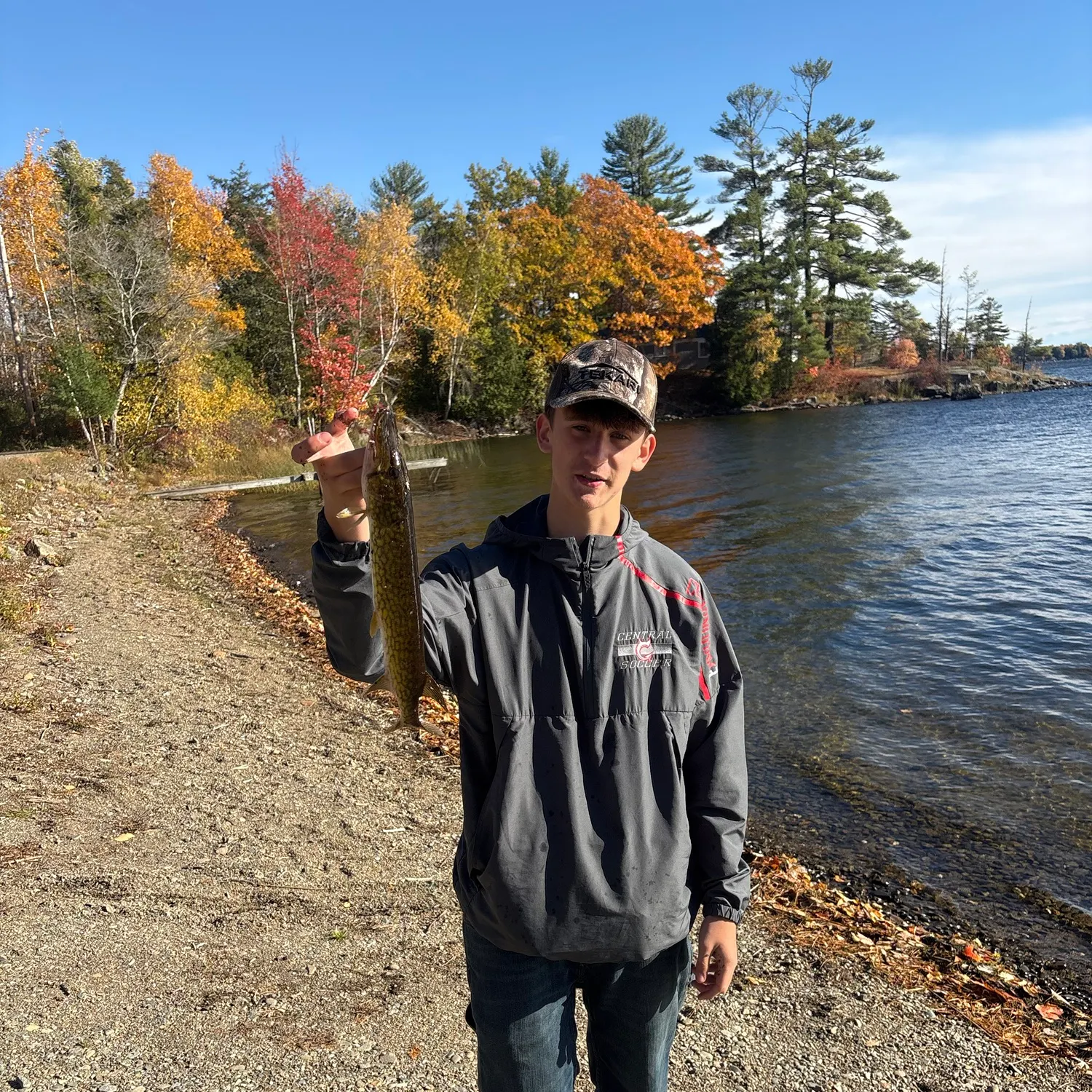 Chain pickerel caught on Fishbrain