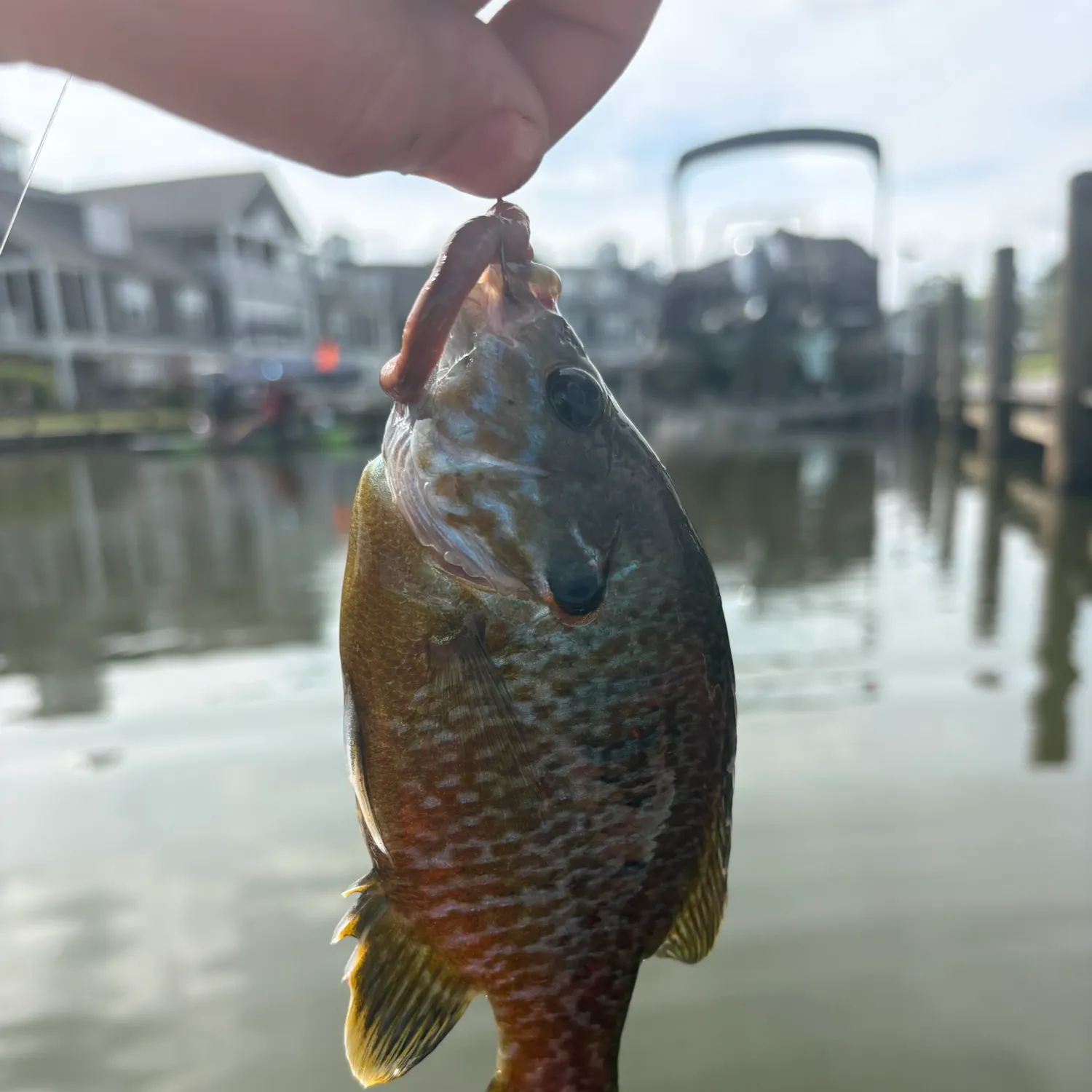 catch