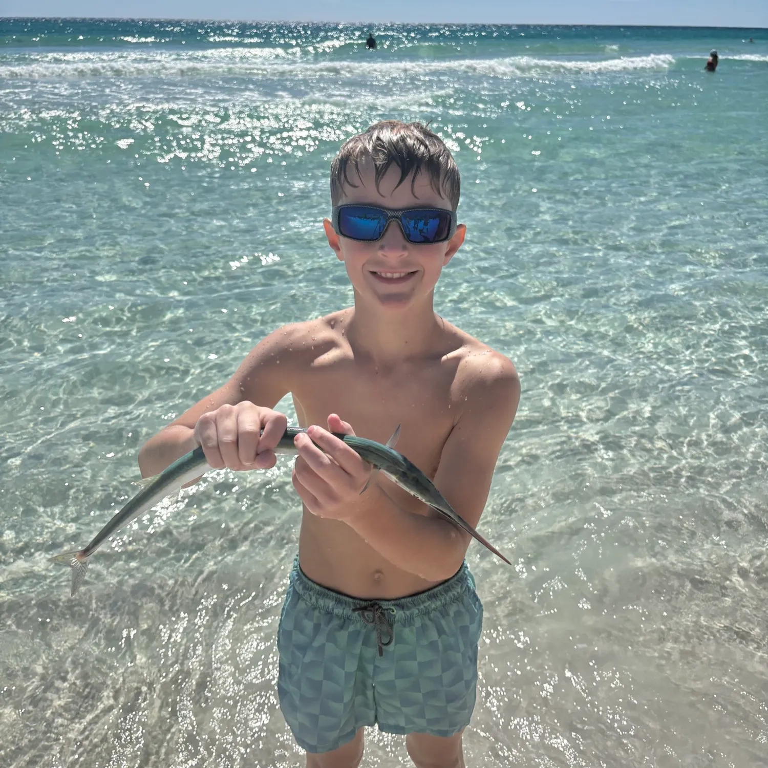 Flat needlefish caught on Fishbrain