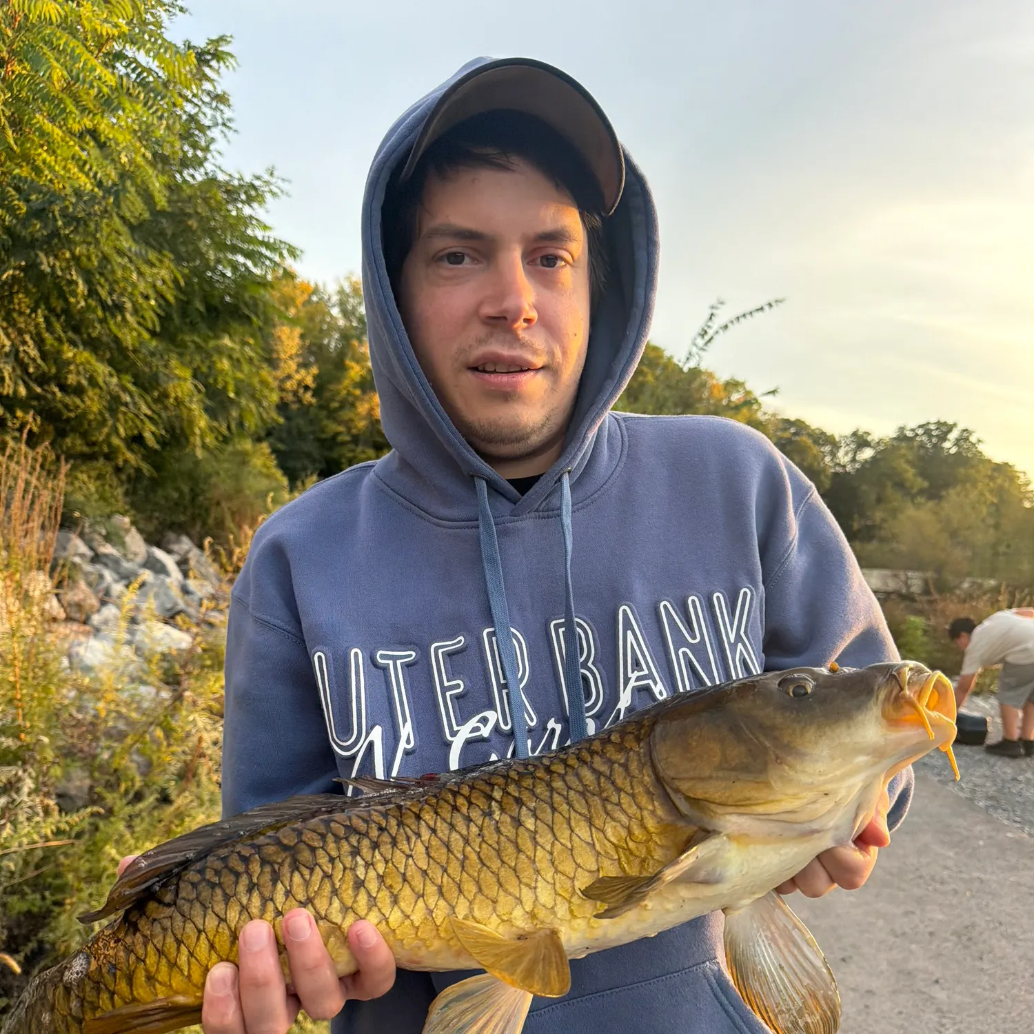 Common carp caught on Fishbrain