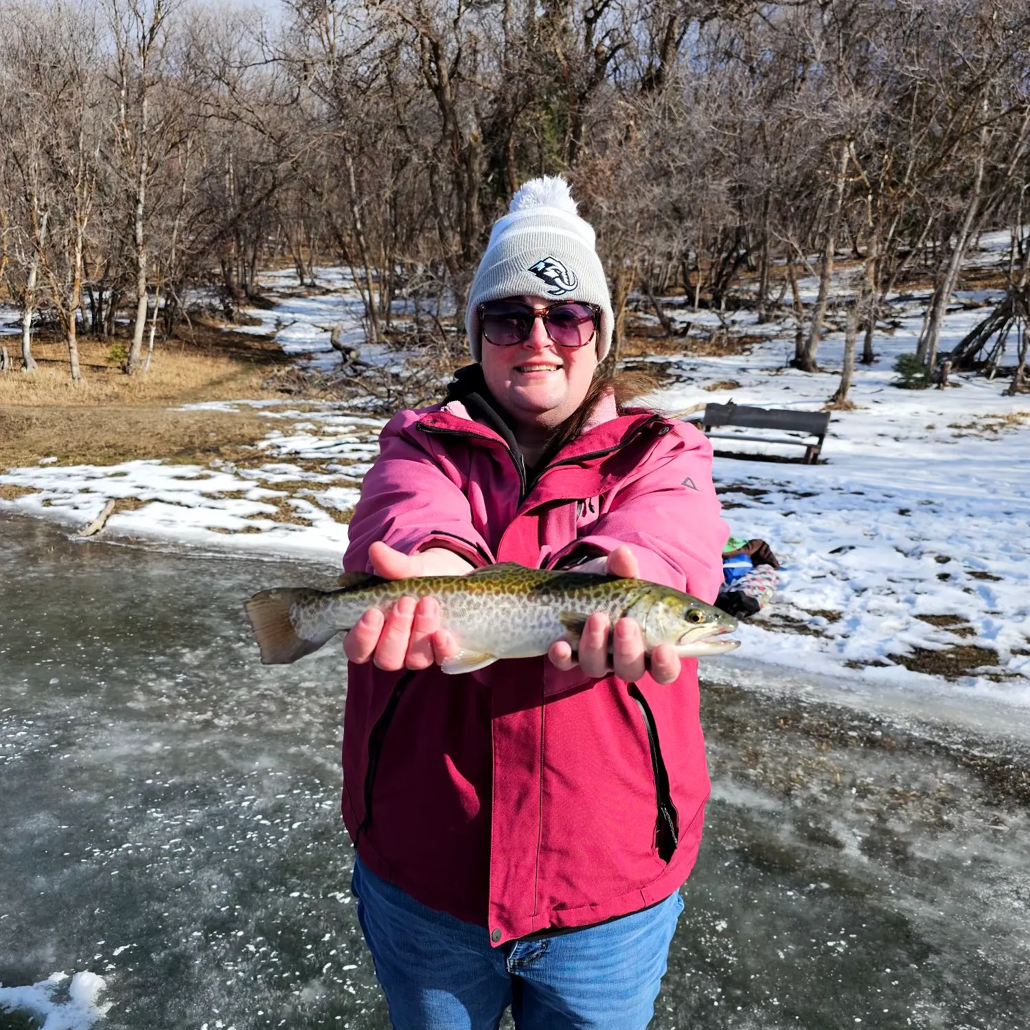 The most recent Tiger trout catches on Fishbrain