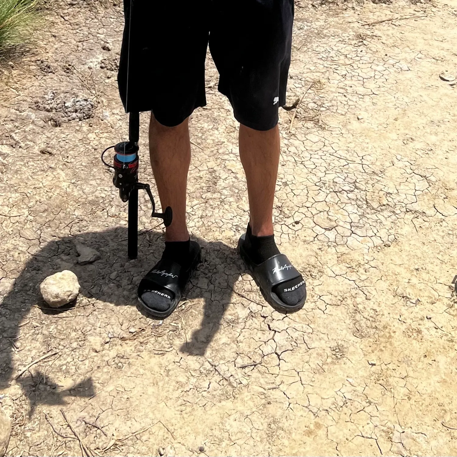 The most recent Silver carp catches on Fishbrain