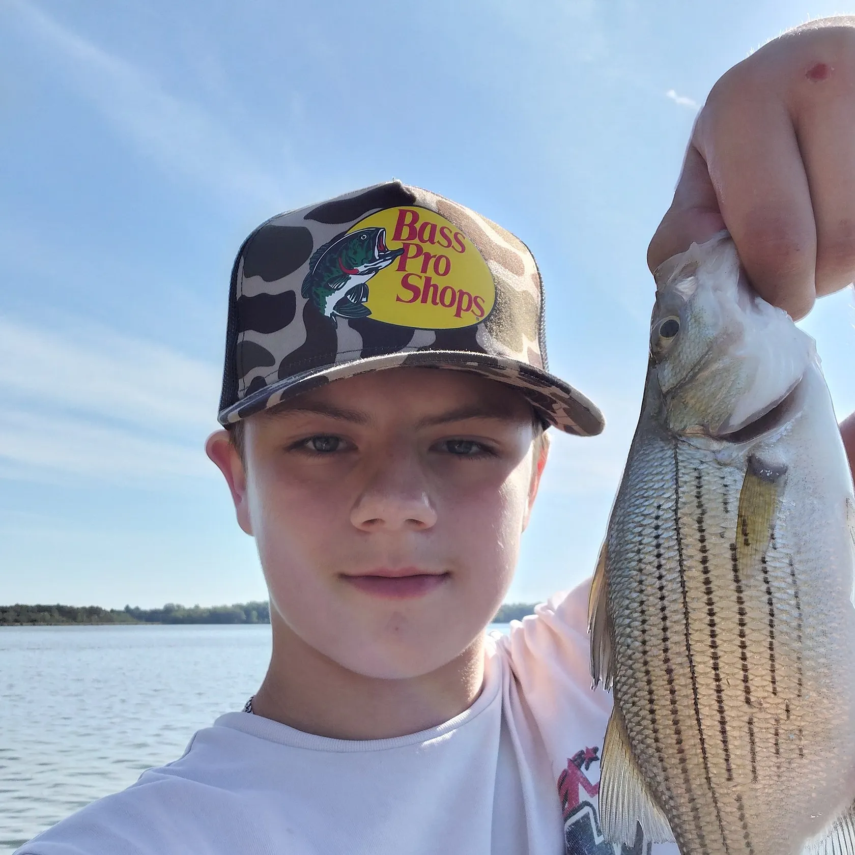 Striped bass caught on Fishbrain