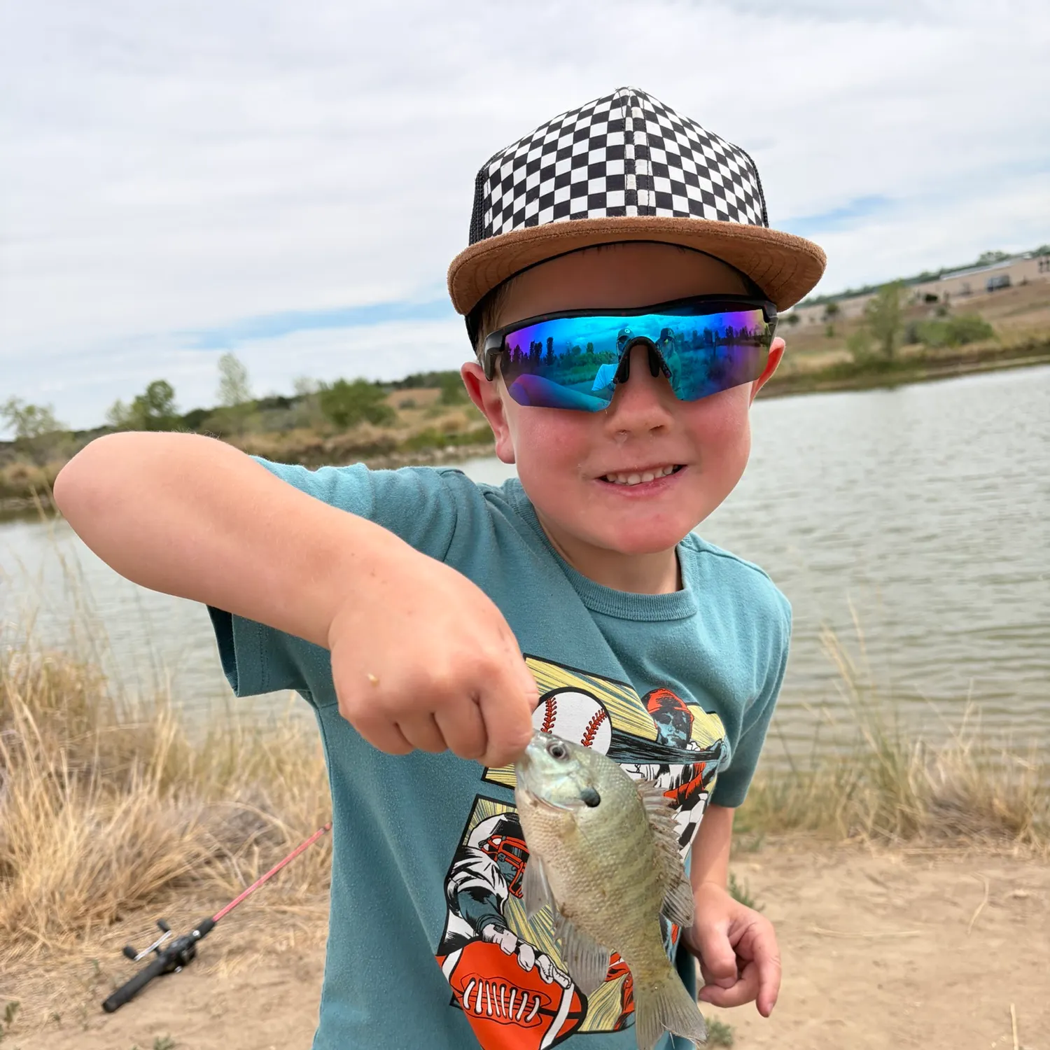 Bluegill caught on Fishbrain