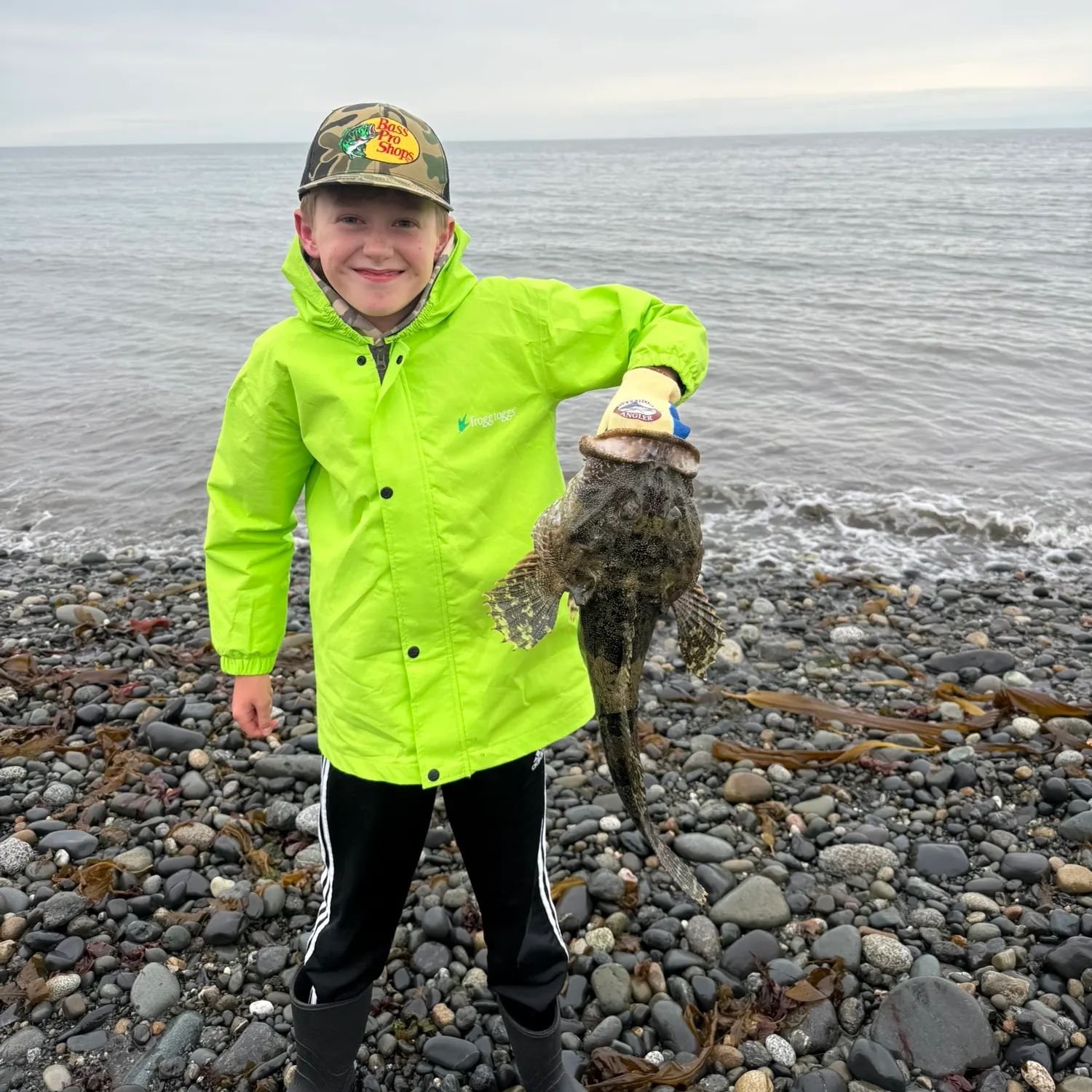 The most recent Red Irish lord catches on Fishbrain