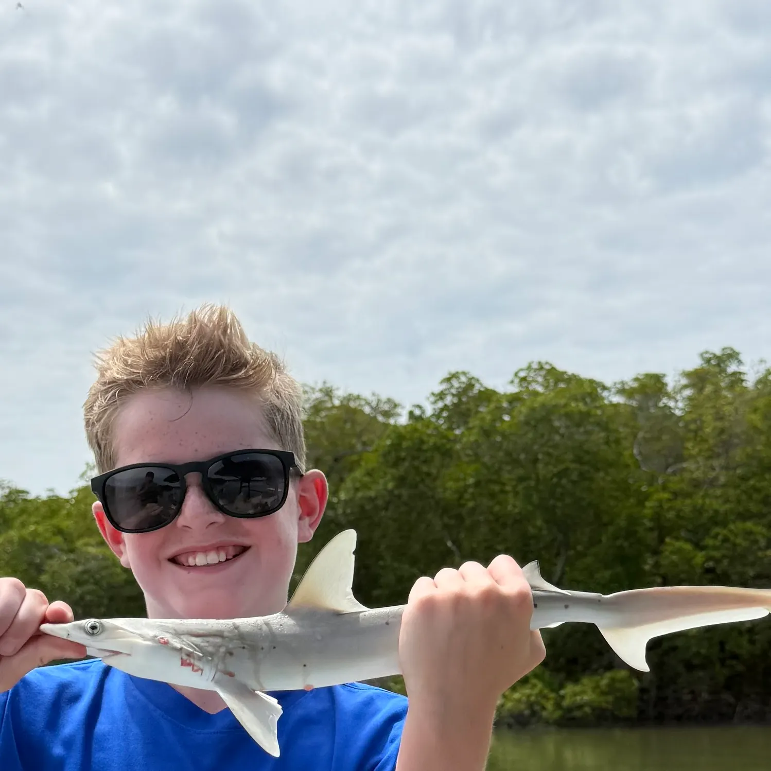 The most recent Bonnethead shark catches on Fishbrain