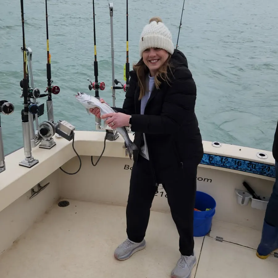 The most recent Coho salmon catches on Fishbrain