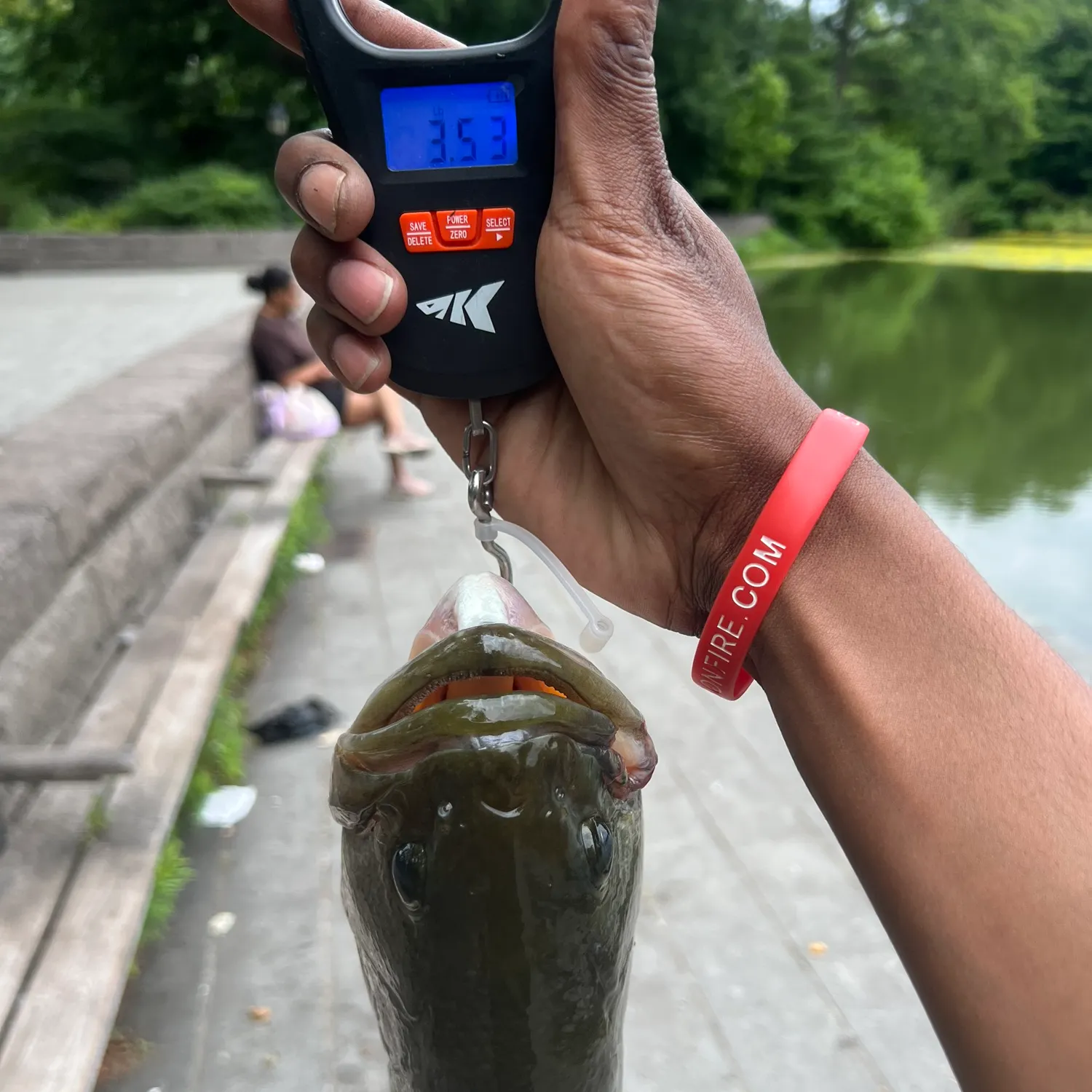 catch