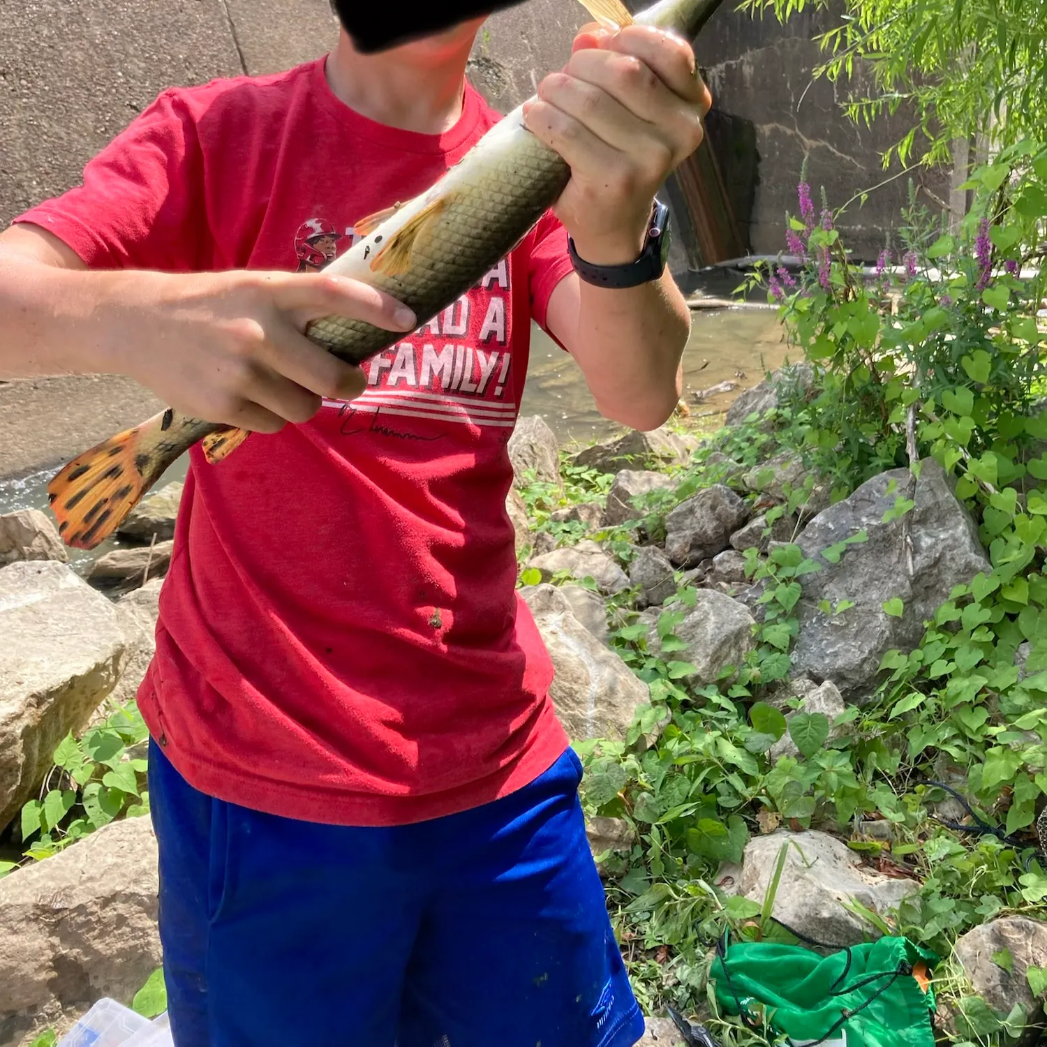 recently logged catches
