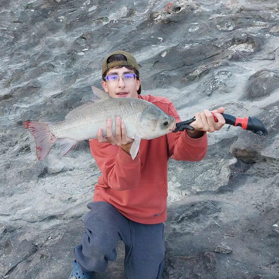 Smallmouth buffalo caught on Fishbrain