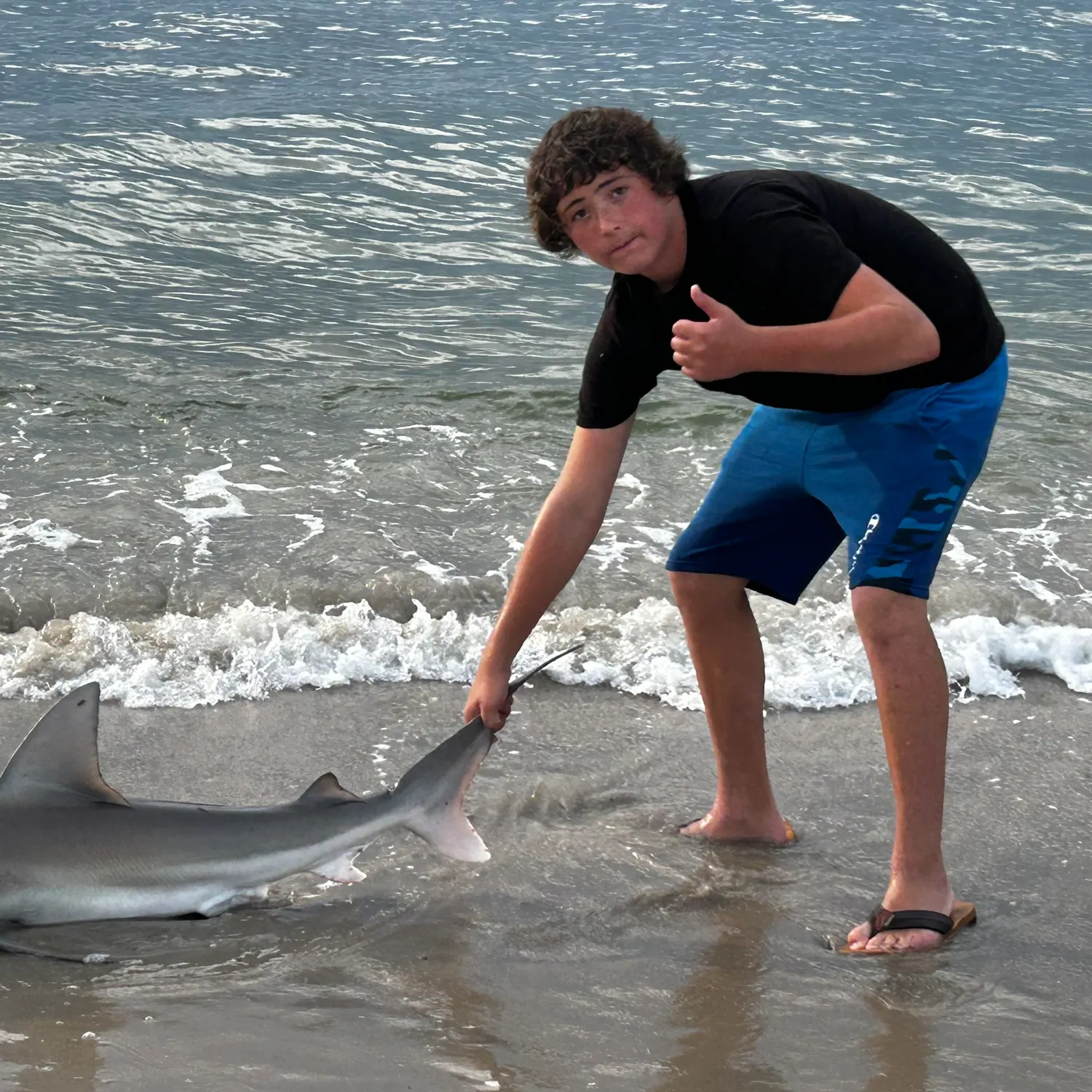 Sandbar shark caught on Fishbrain