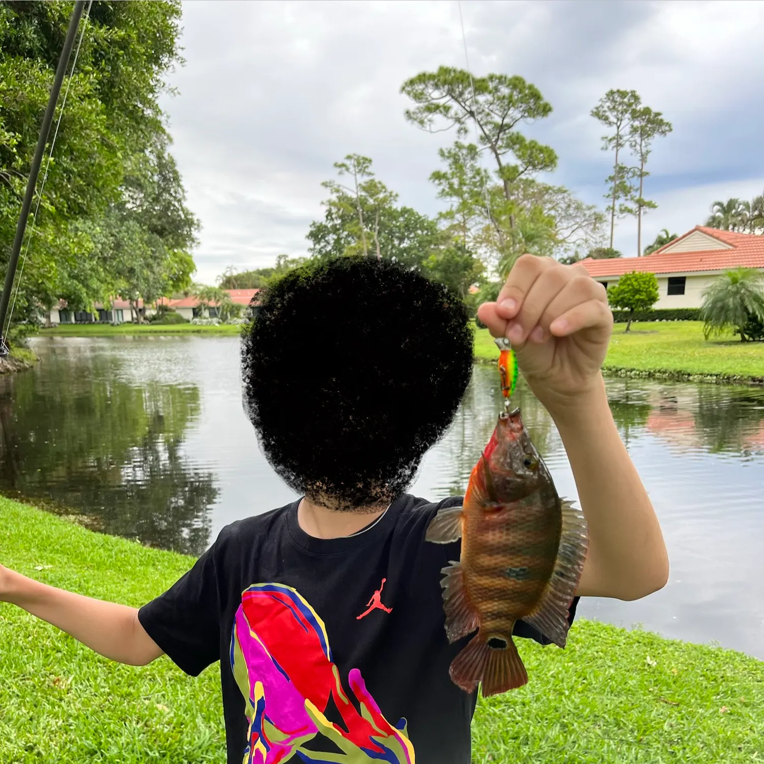 The most recent Mayan cichlid catches on Fishbrain