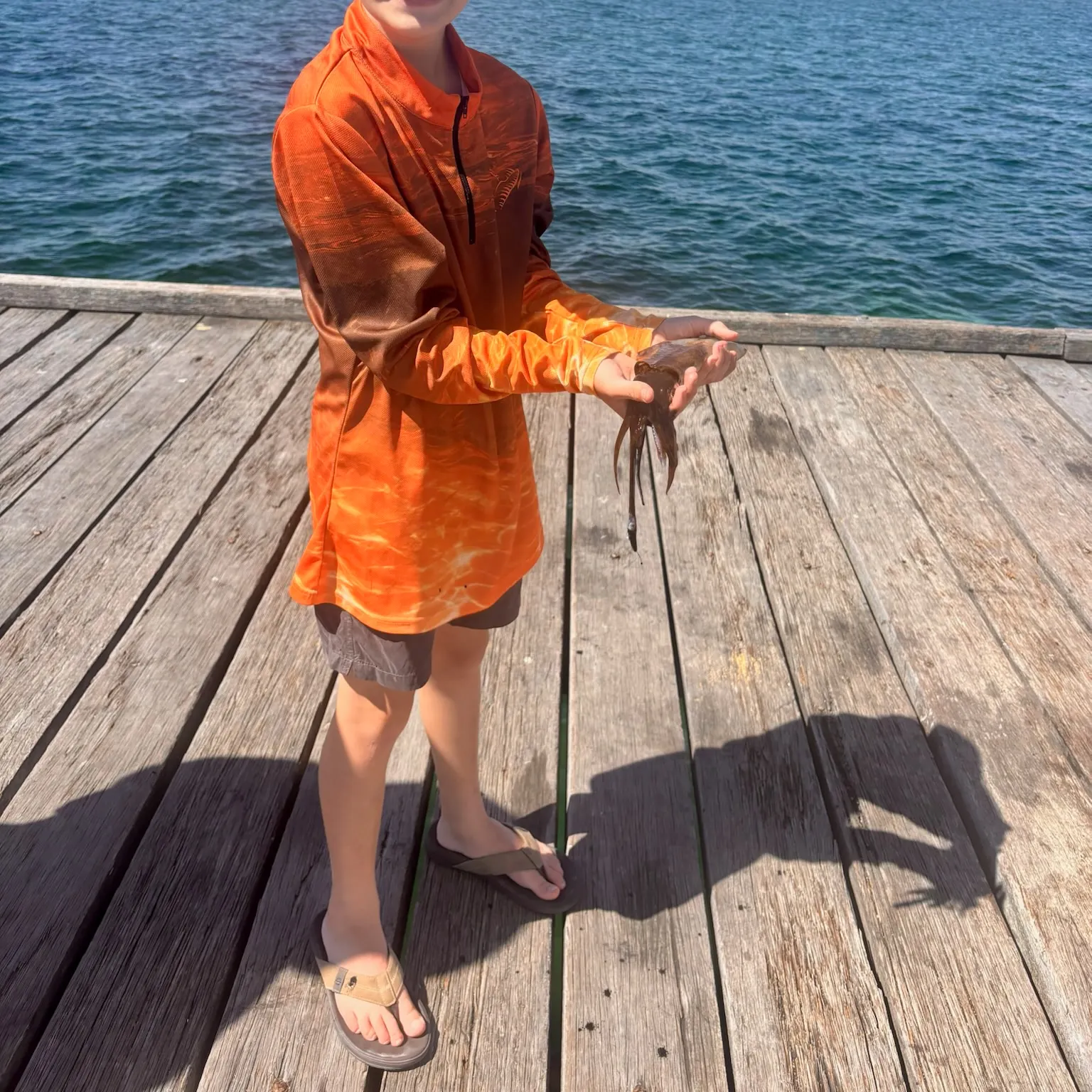 The most recent Southern calamari catches on Fishbrain