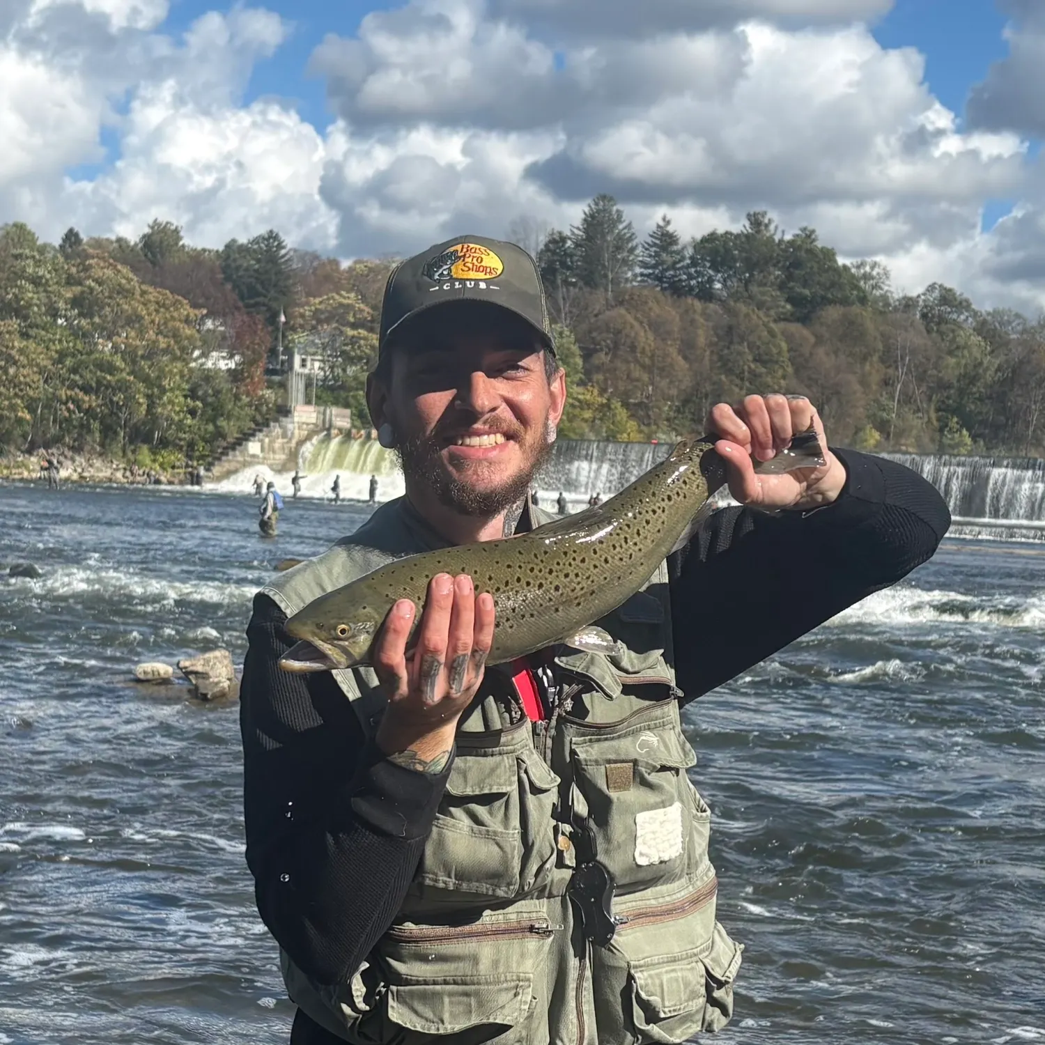 Brown trout caught on Fishbrain