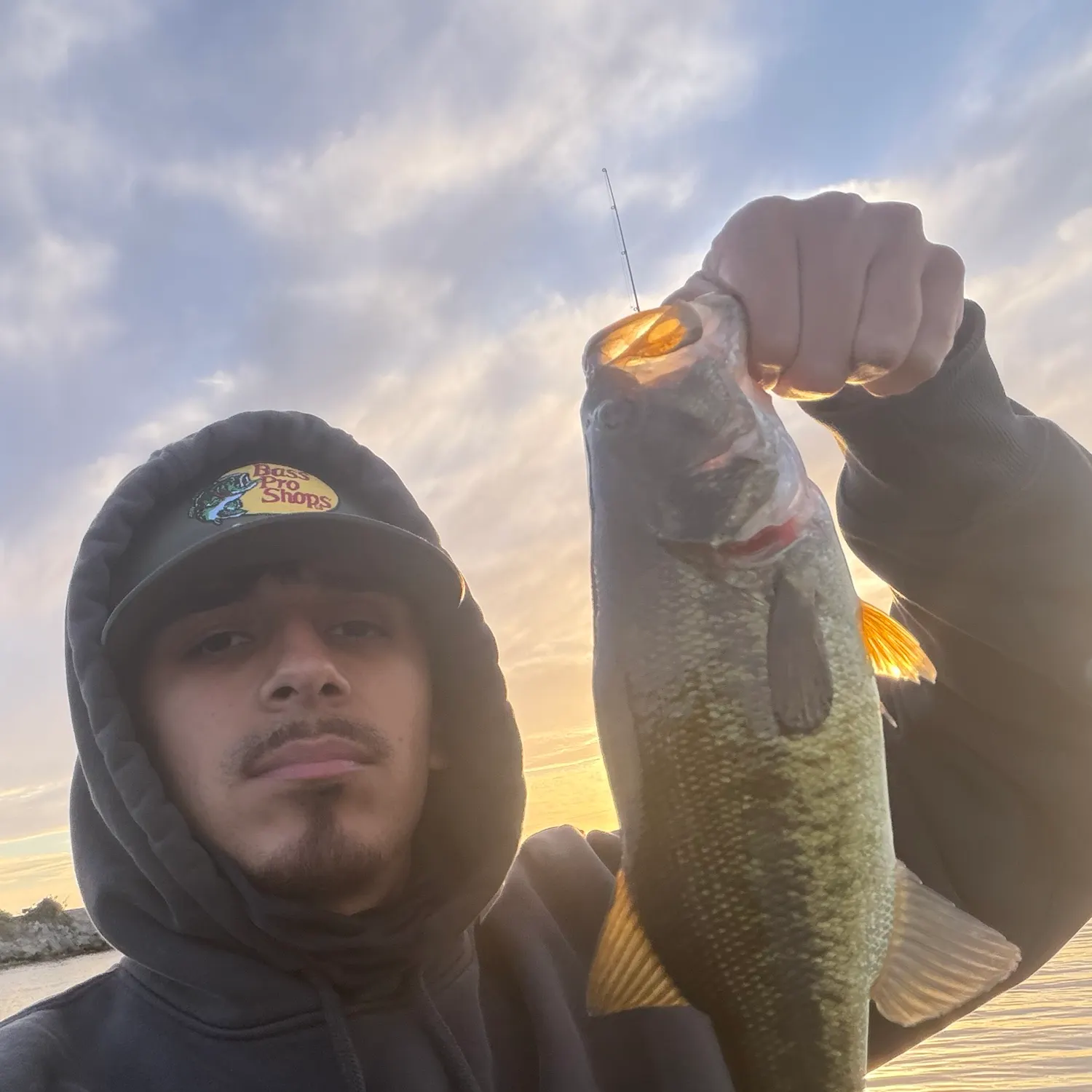 Largemouth bass caught on Fishbrain