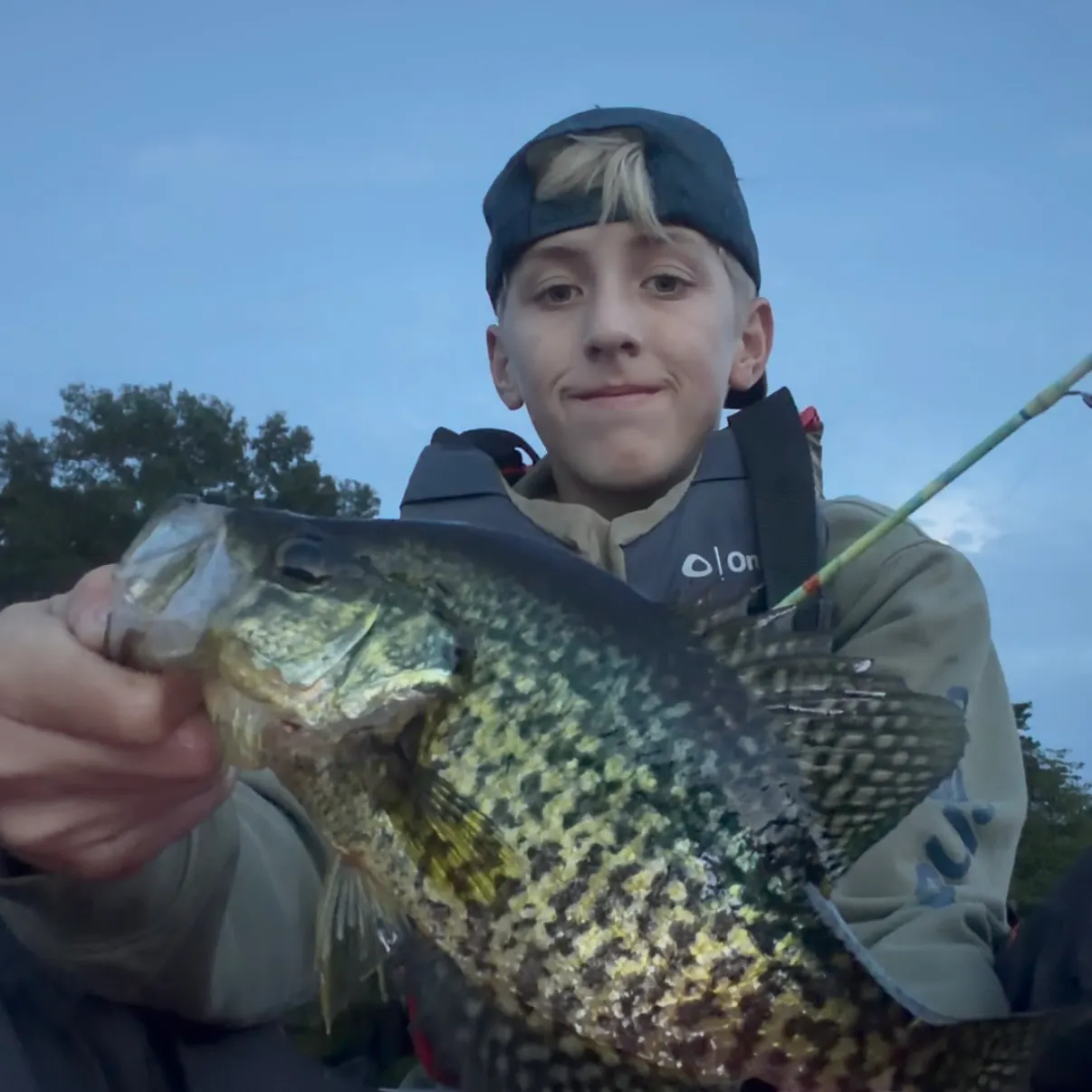 Black crappie caught on Fishbrain