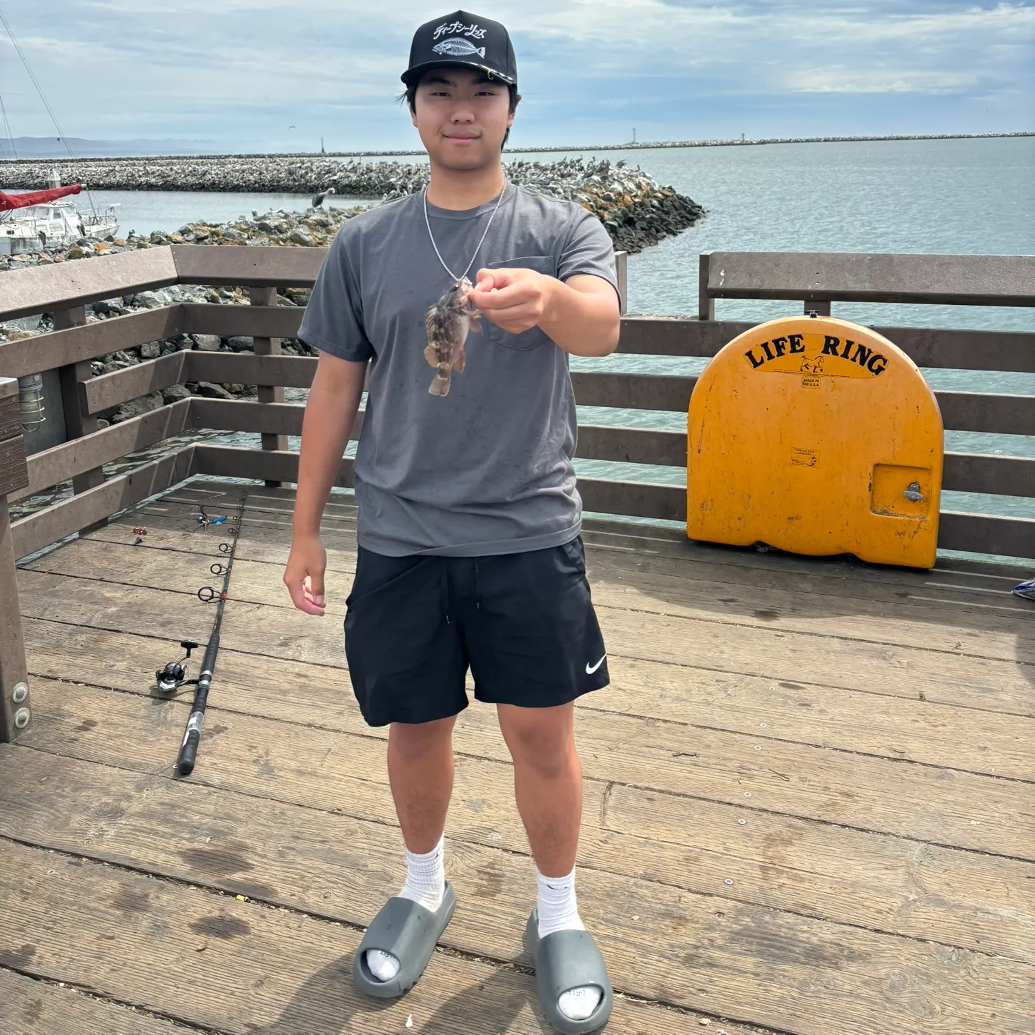 The most recent Grass rockfish catches on Fishbrain