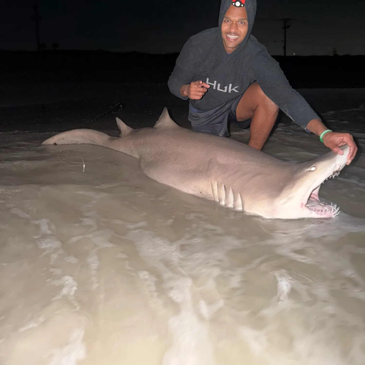 The most recent Sand tiger shark catches on Fishbrain