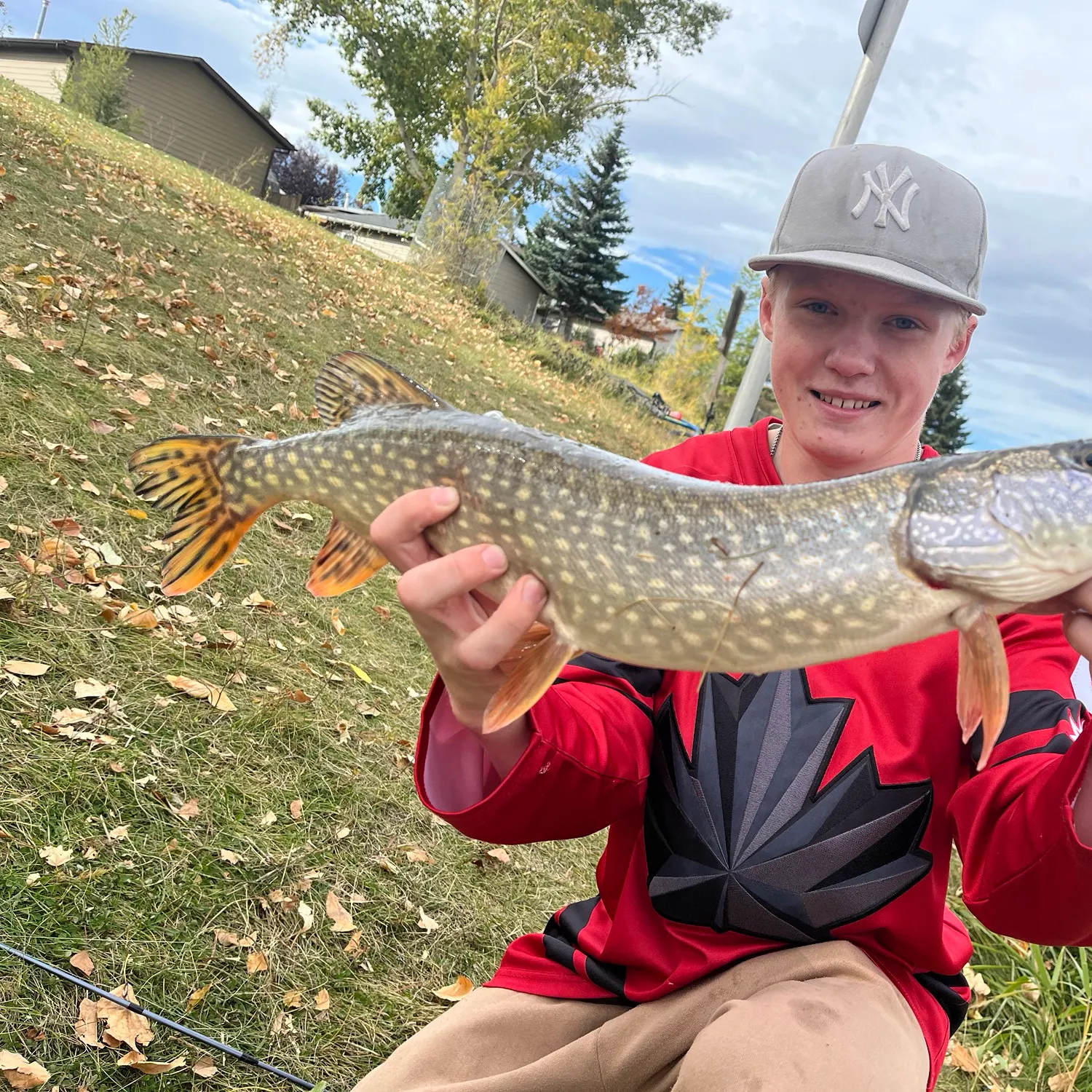 Northern pike caught on Fishbrain