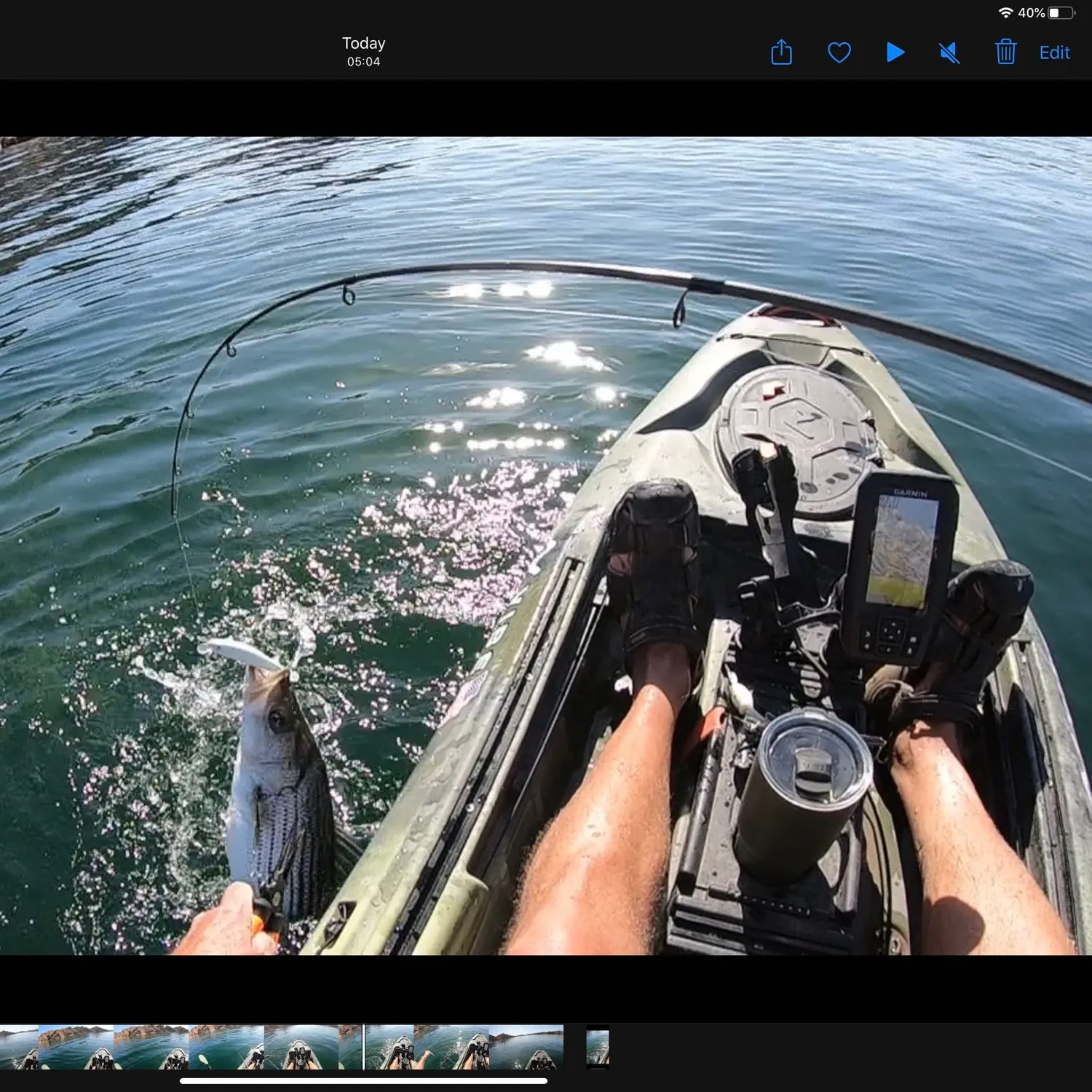 recently logged catches