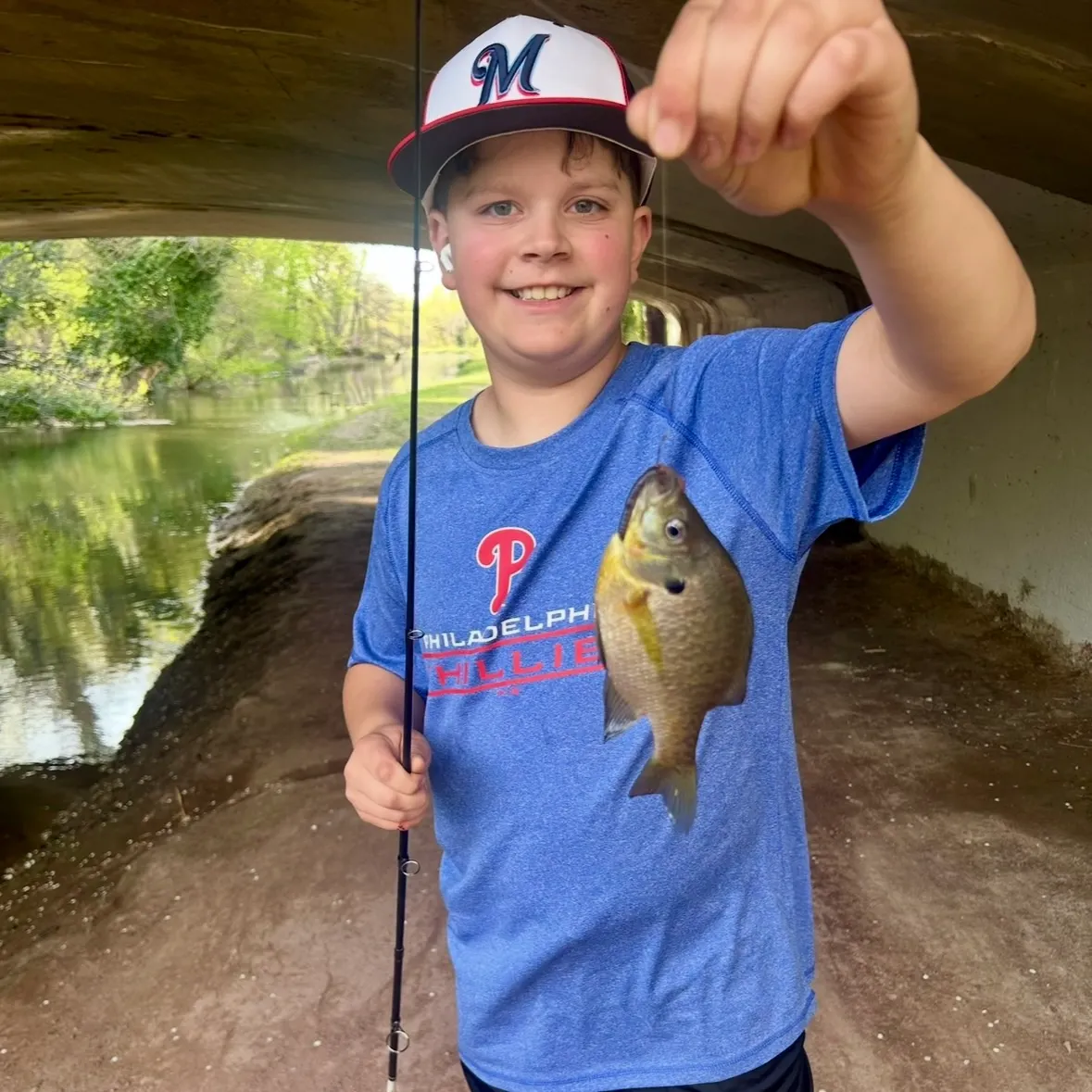 Bluegill caught on Fishbrain