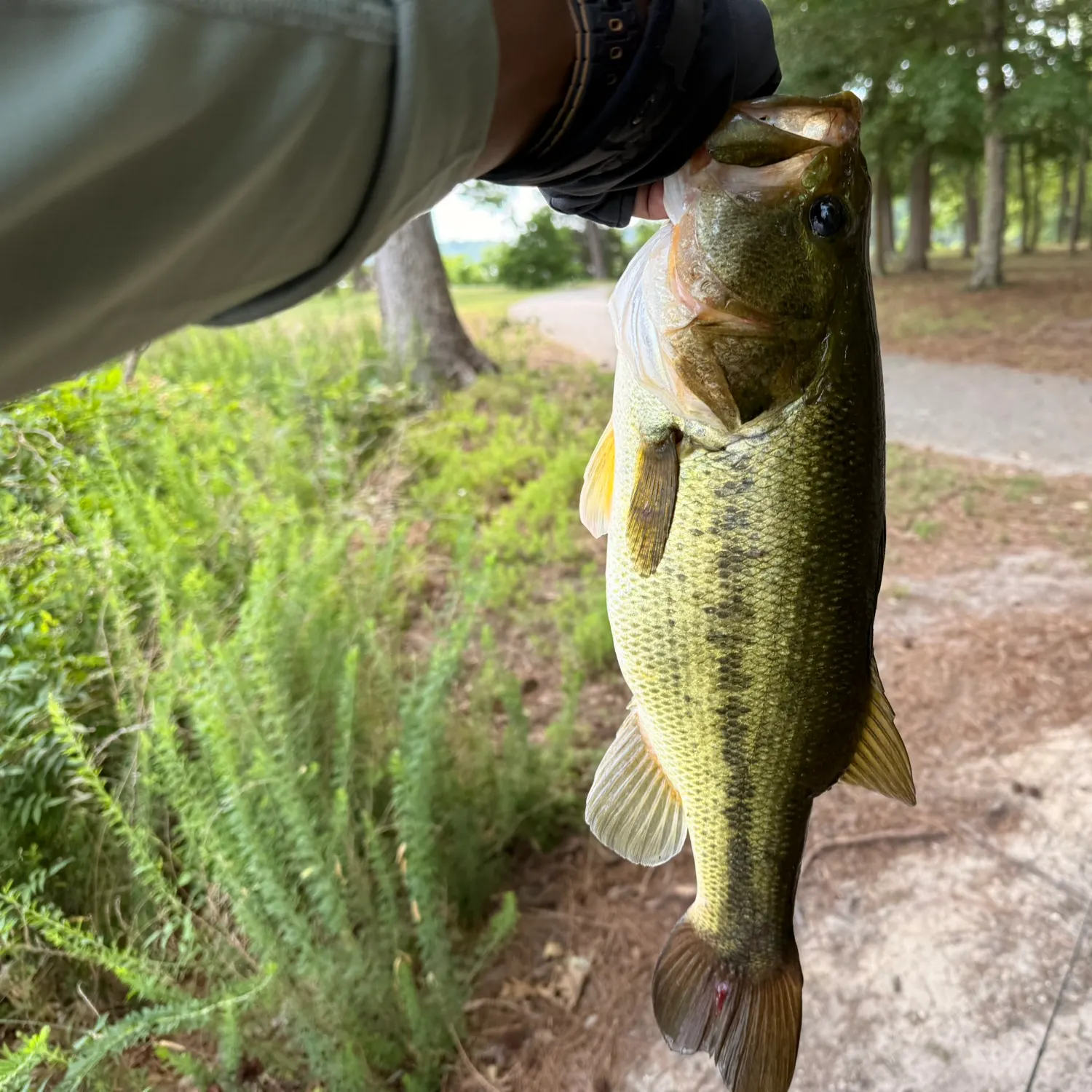 catch