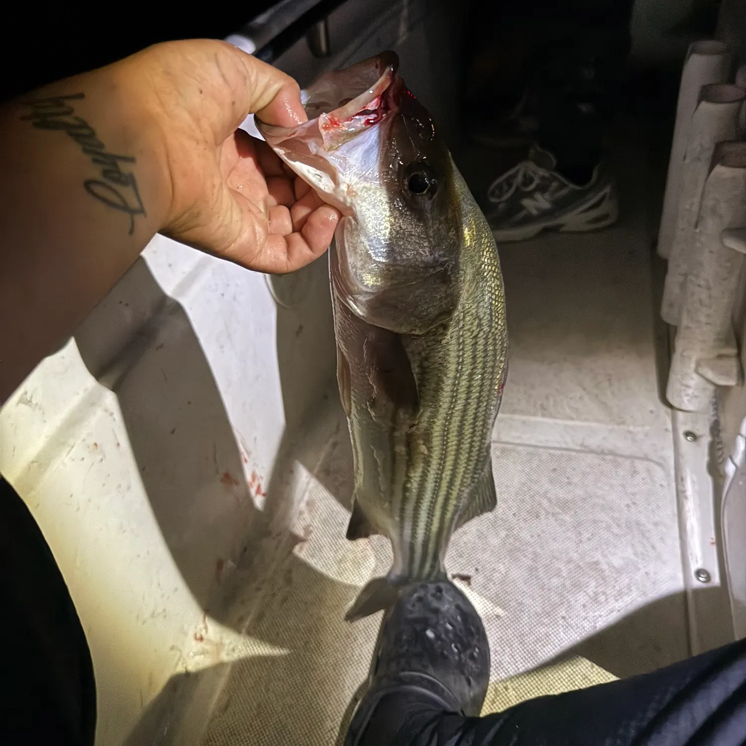 catch