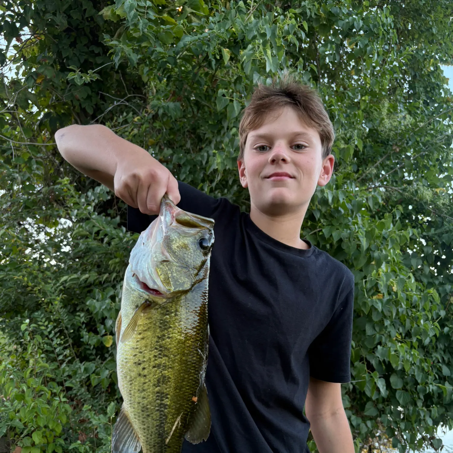 Fish caught on Fishbrain