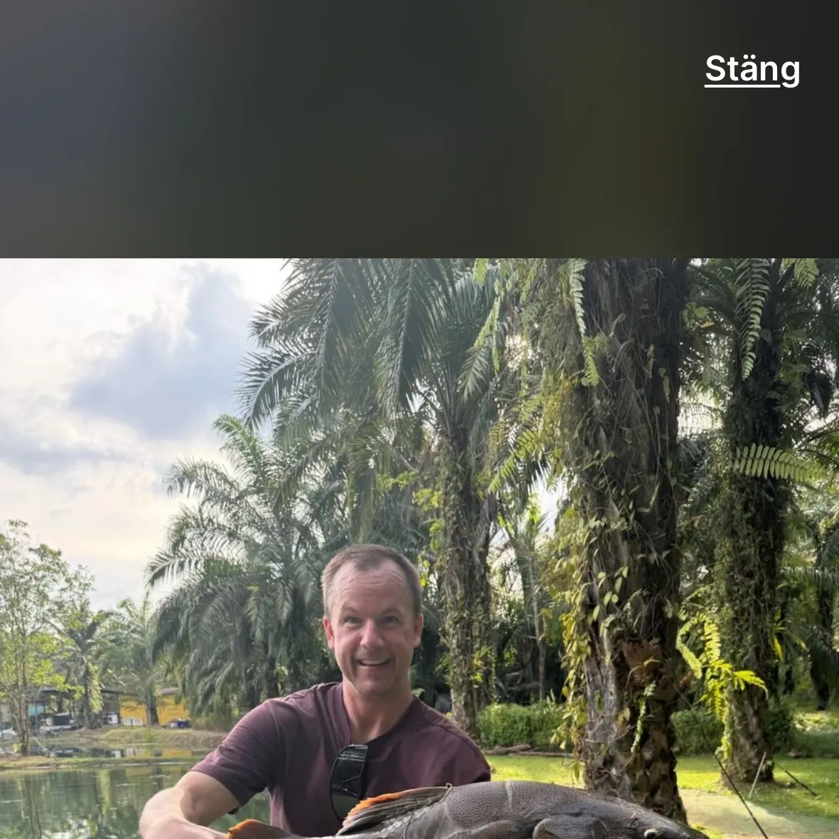 The most recent Redtail catfish catches on Fishbrain