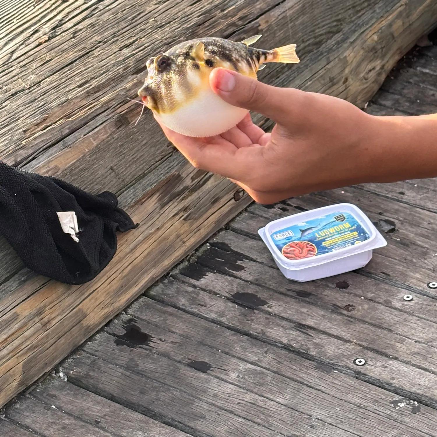catch