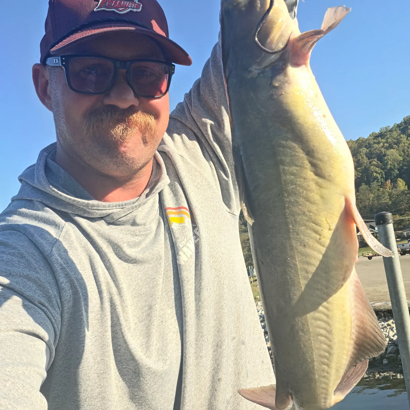 Channel catfish caught on Fishbrain