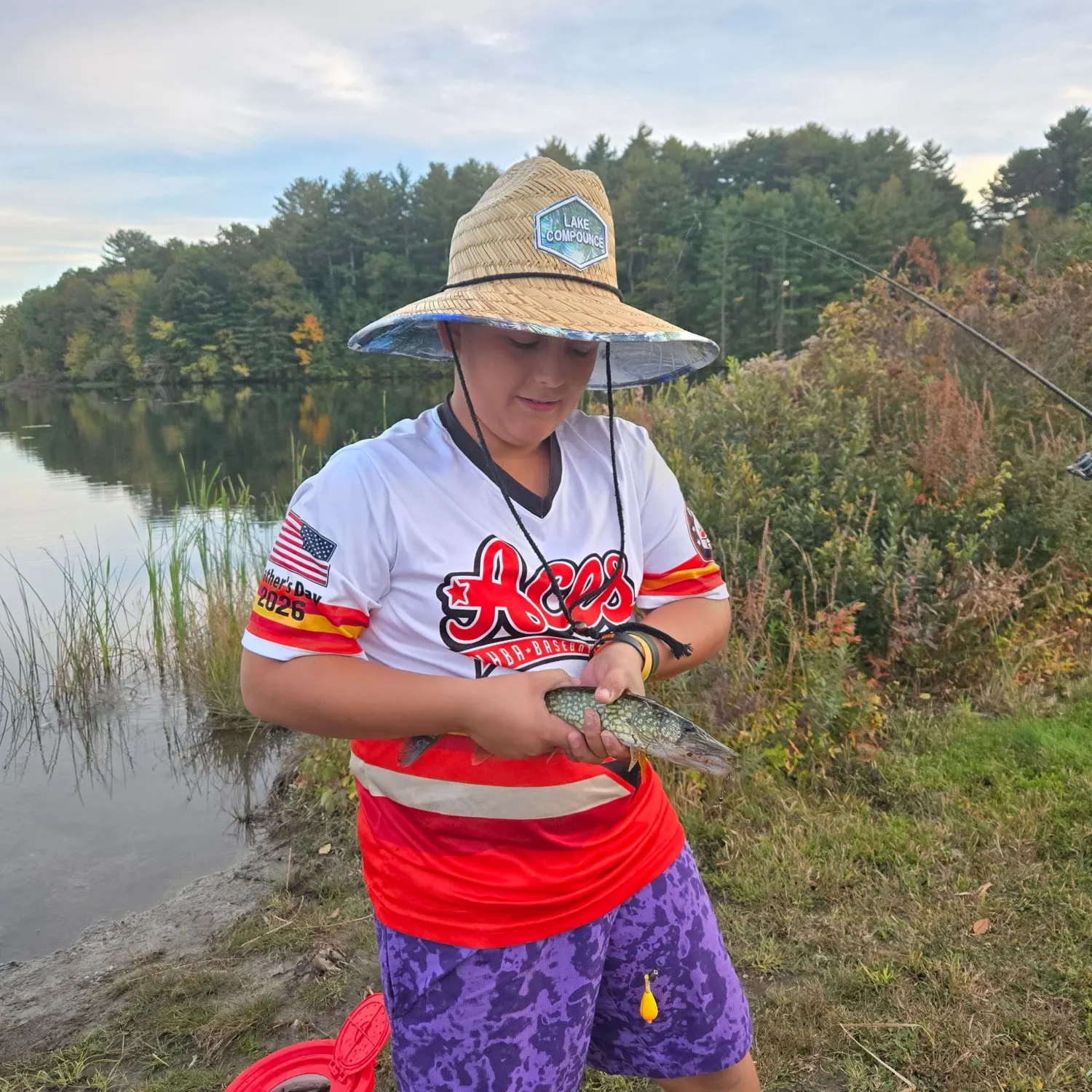 Chain pickerel caught on Fishbrain