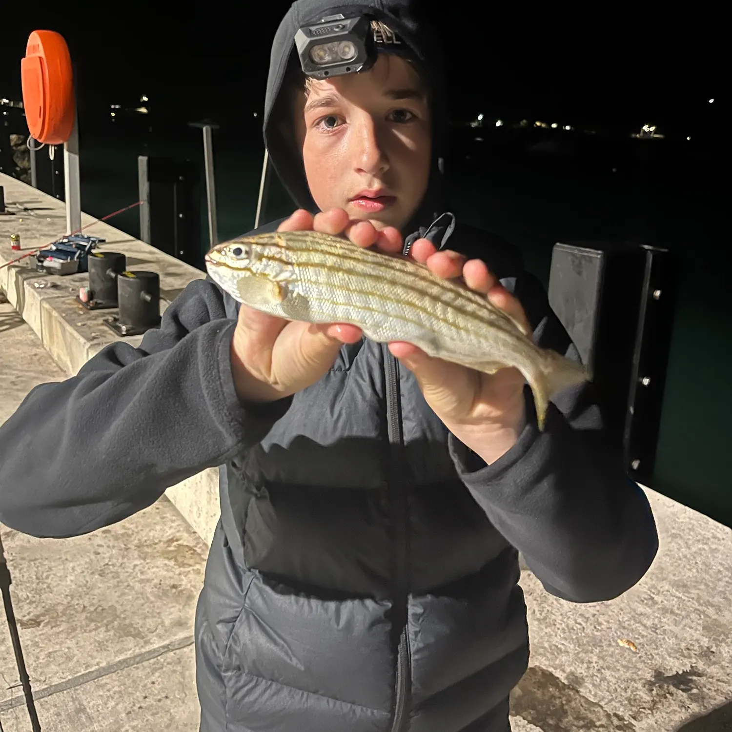 The most recent Western striped grunter catches on Fishbrain