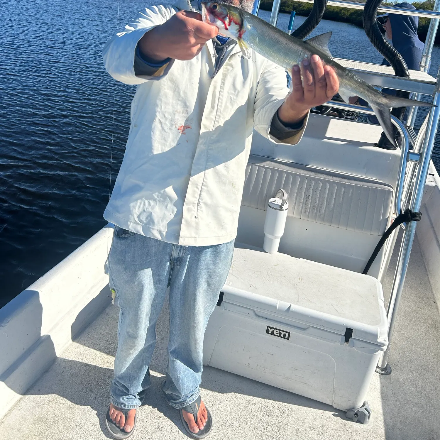 The most recent Hawaiian ladyfish catches on Fishbrain