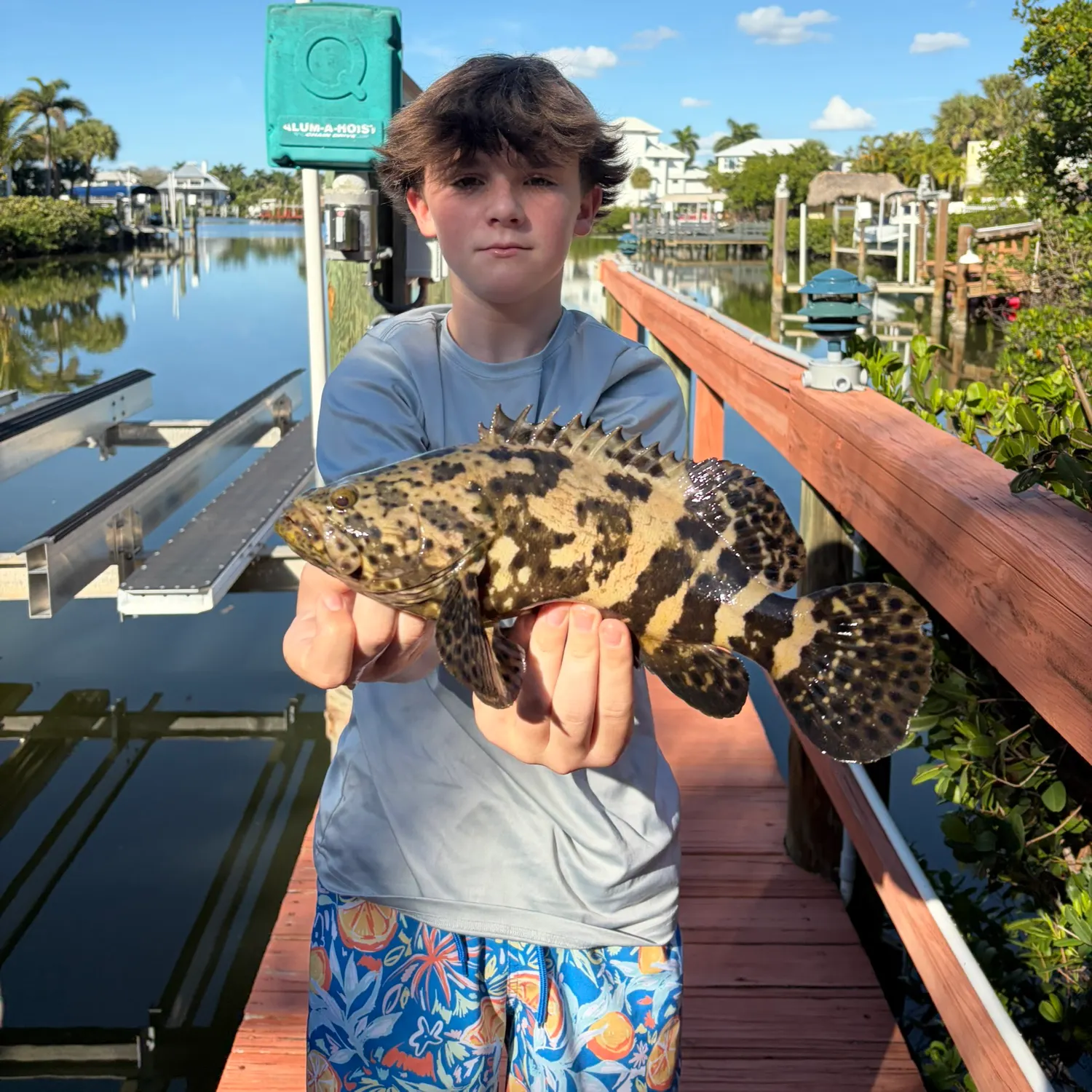The most recent Atlantic goliath grouper catches on Fishbrain