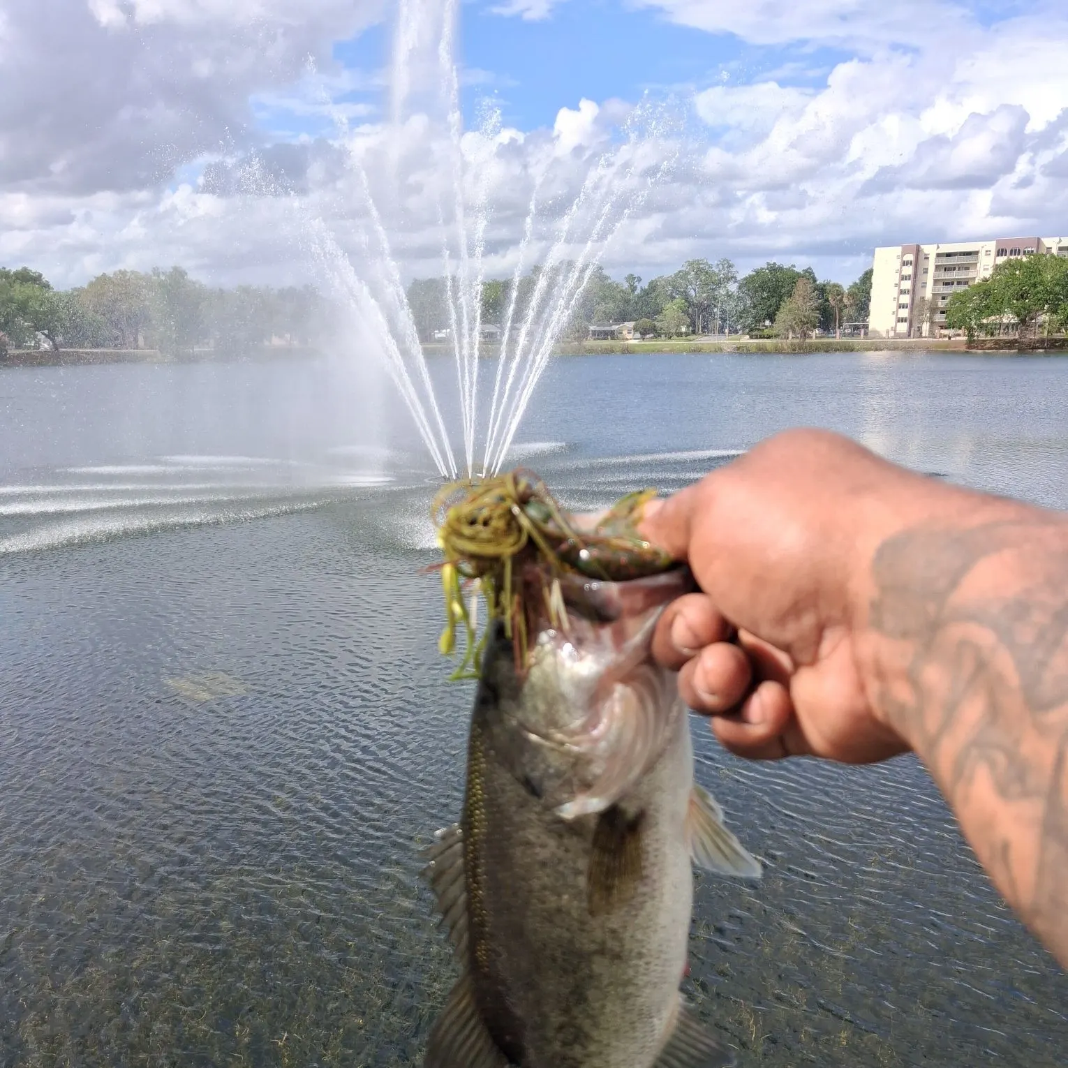 The most recent Florida bass catches on Fishbrain