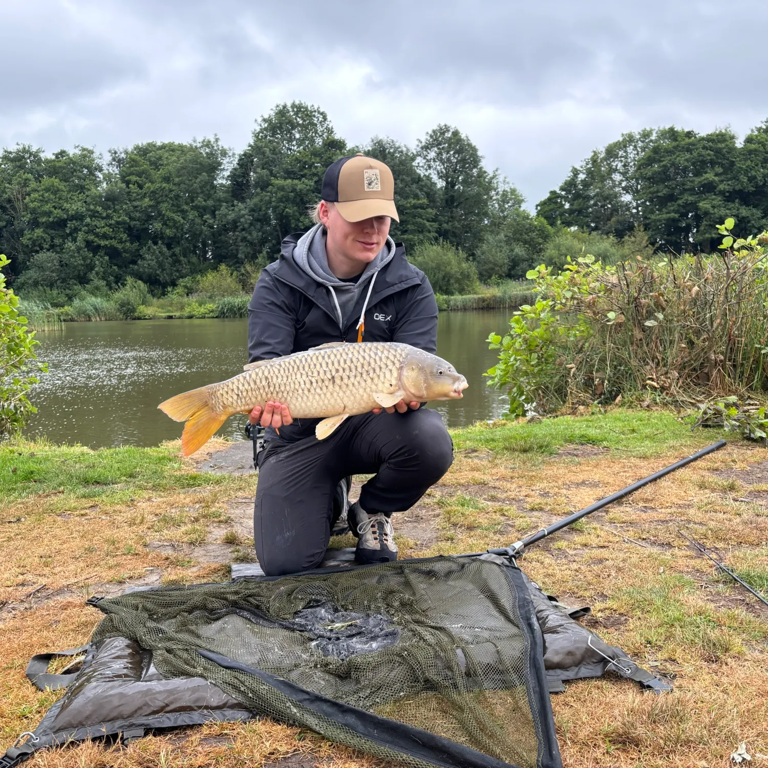 Common carp caught on Fishbrain