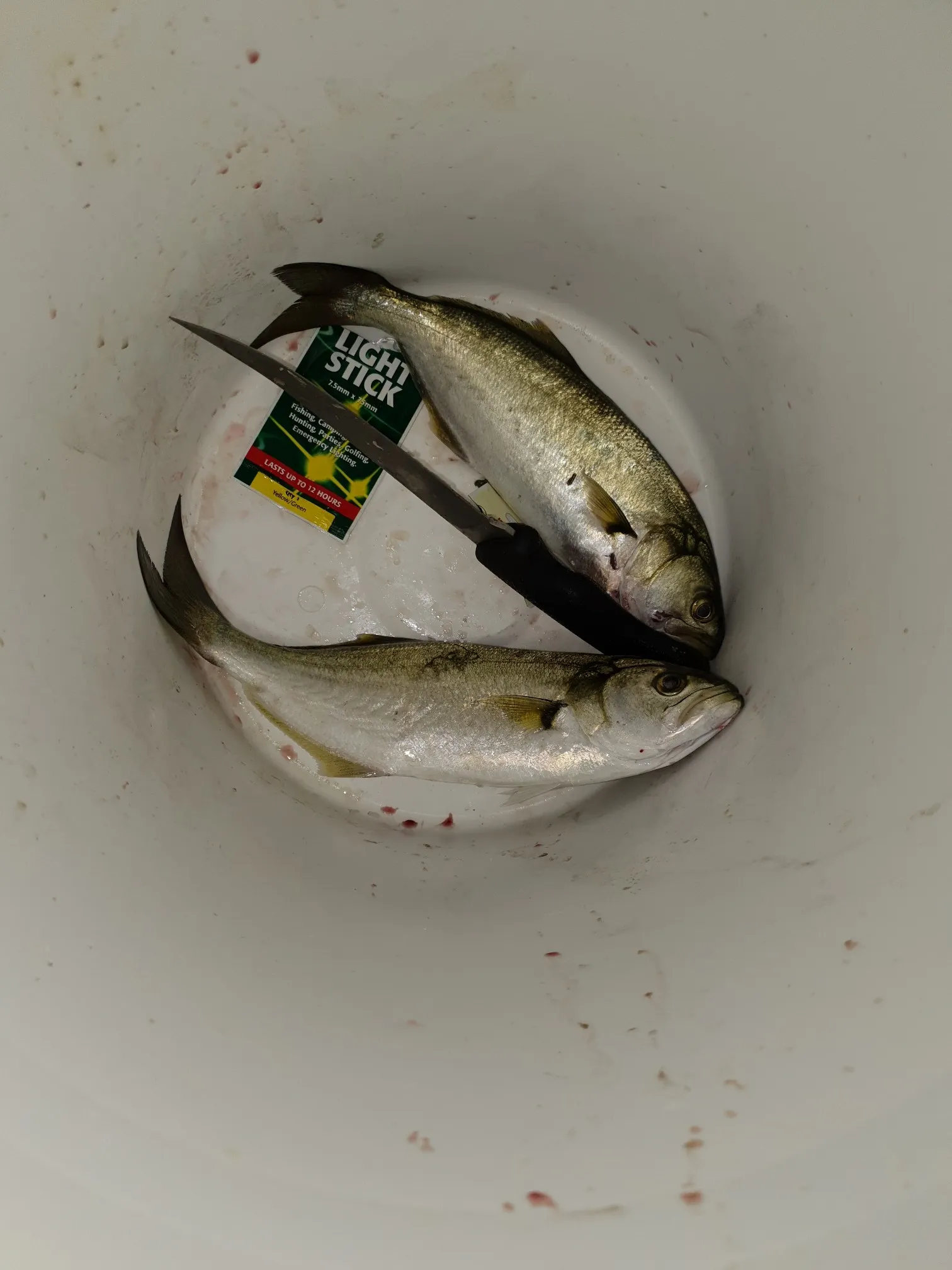 Post image from jaisleep