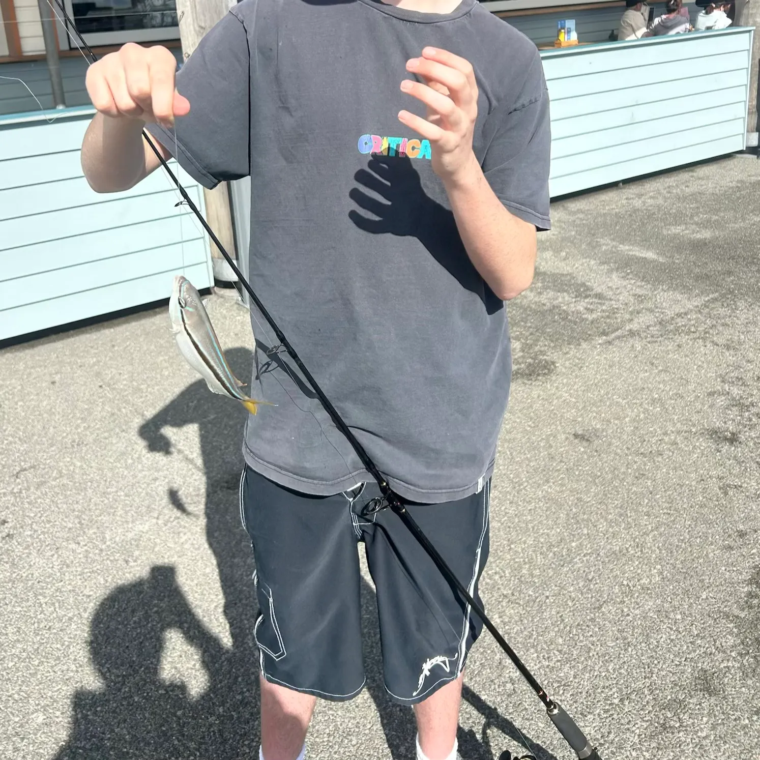 The most recent Striped whiptail catches on Fishbrain