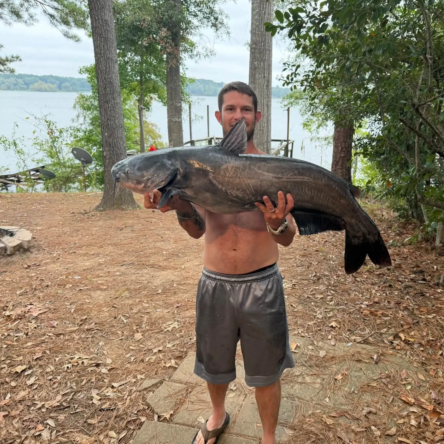 Blue catfish caught on Fishbrain