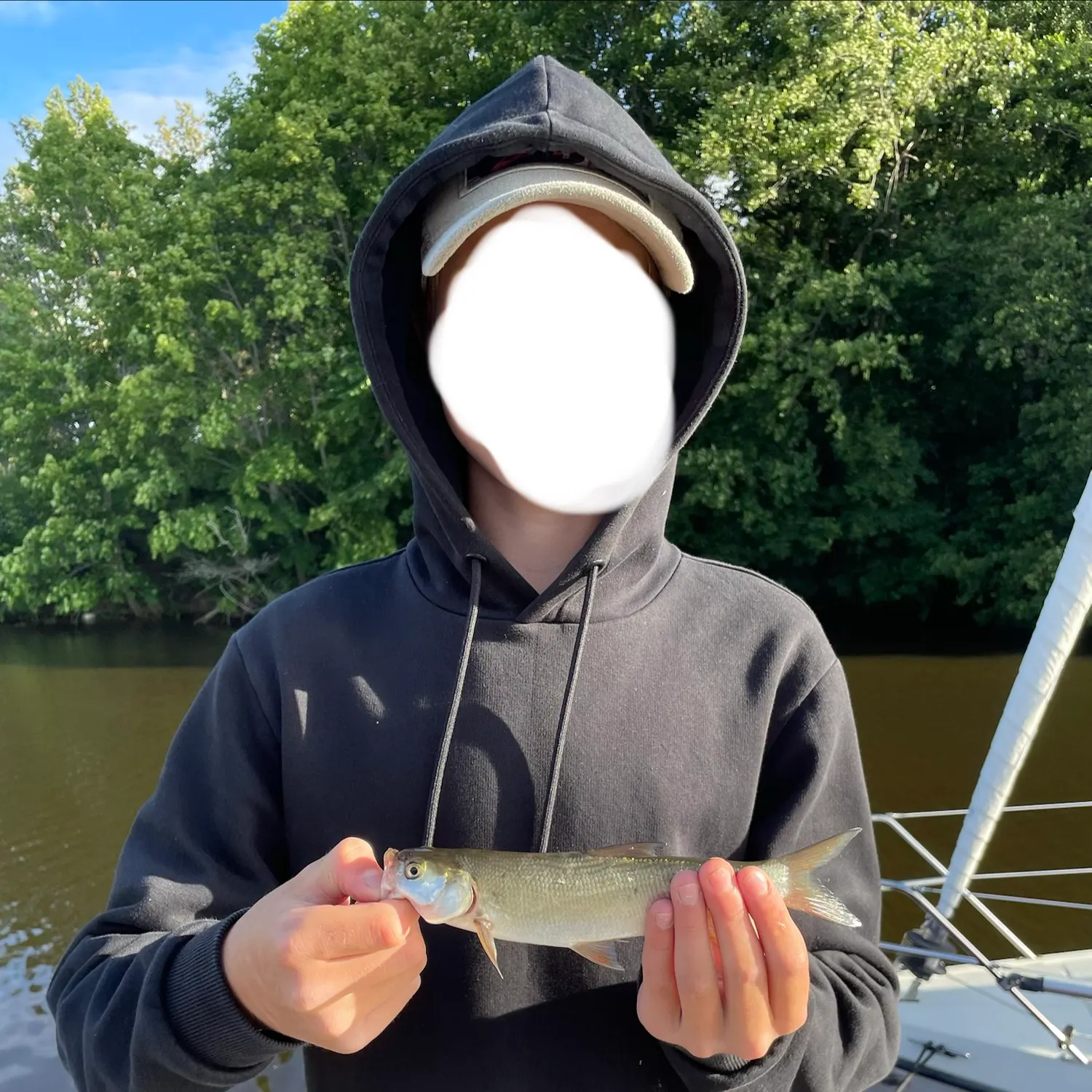 The most recent Asp catches on Fishbrain