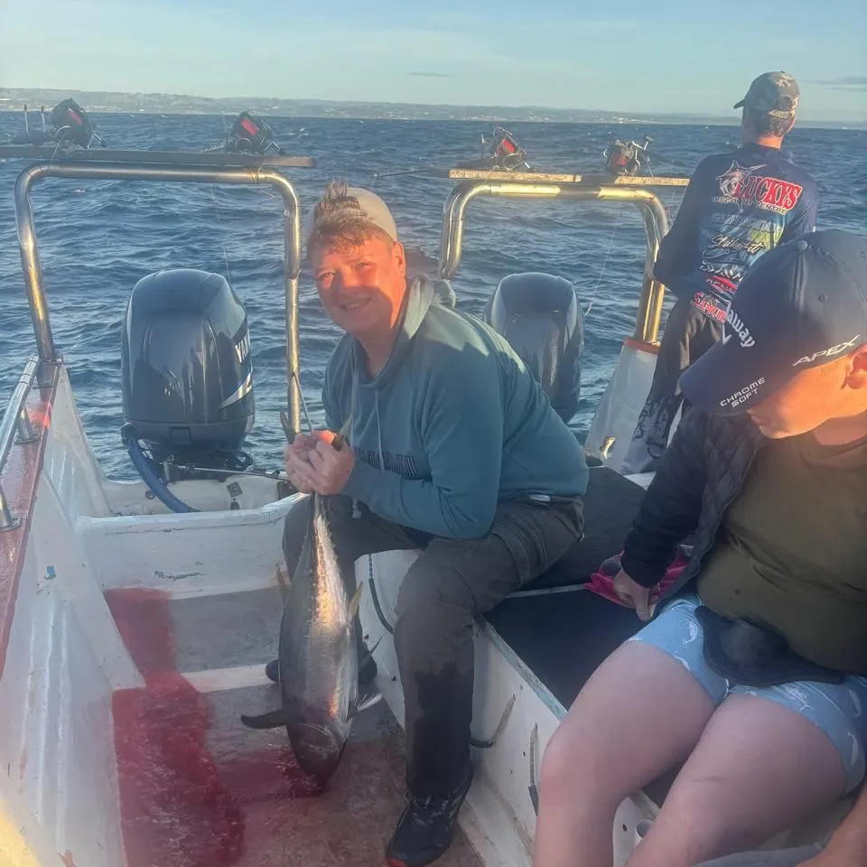 The most recent Yellowfin tuna catches on Fishbrain