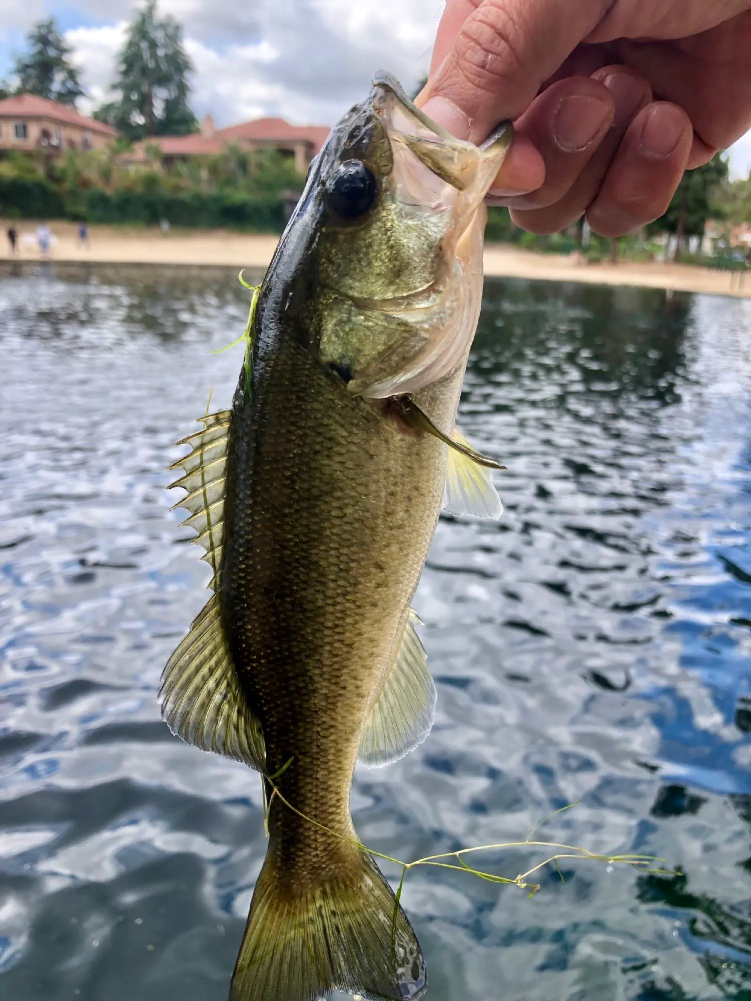 Post image from ocfabfive