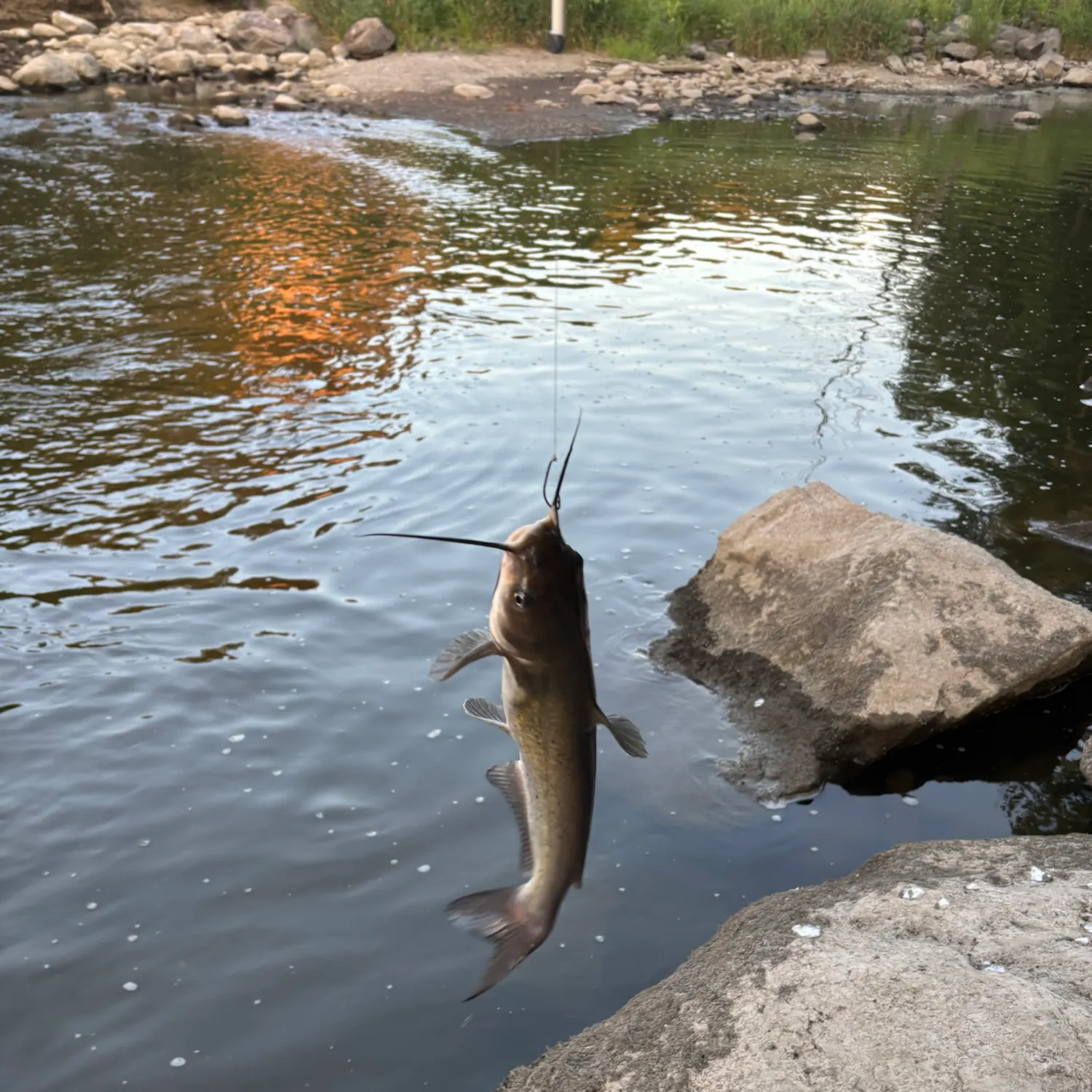 catch