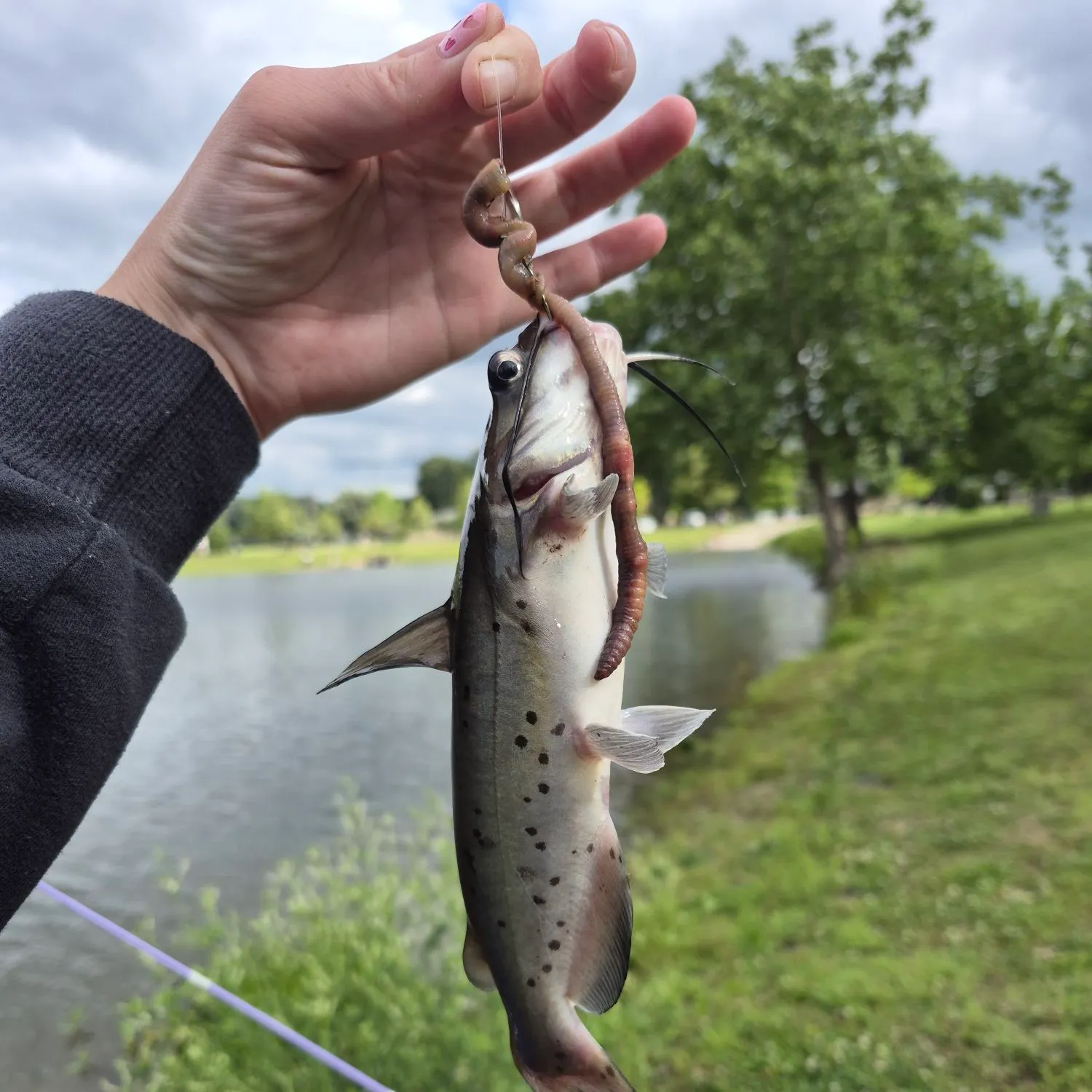 catch