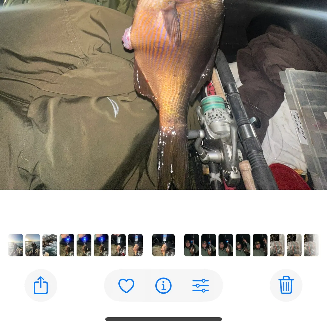 recently logged catches