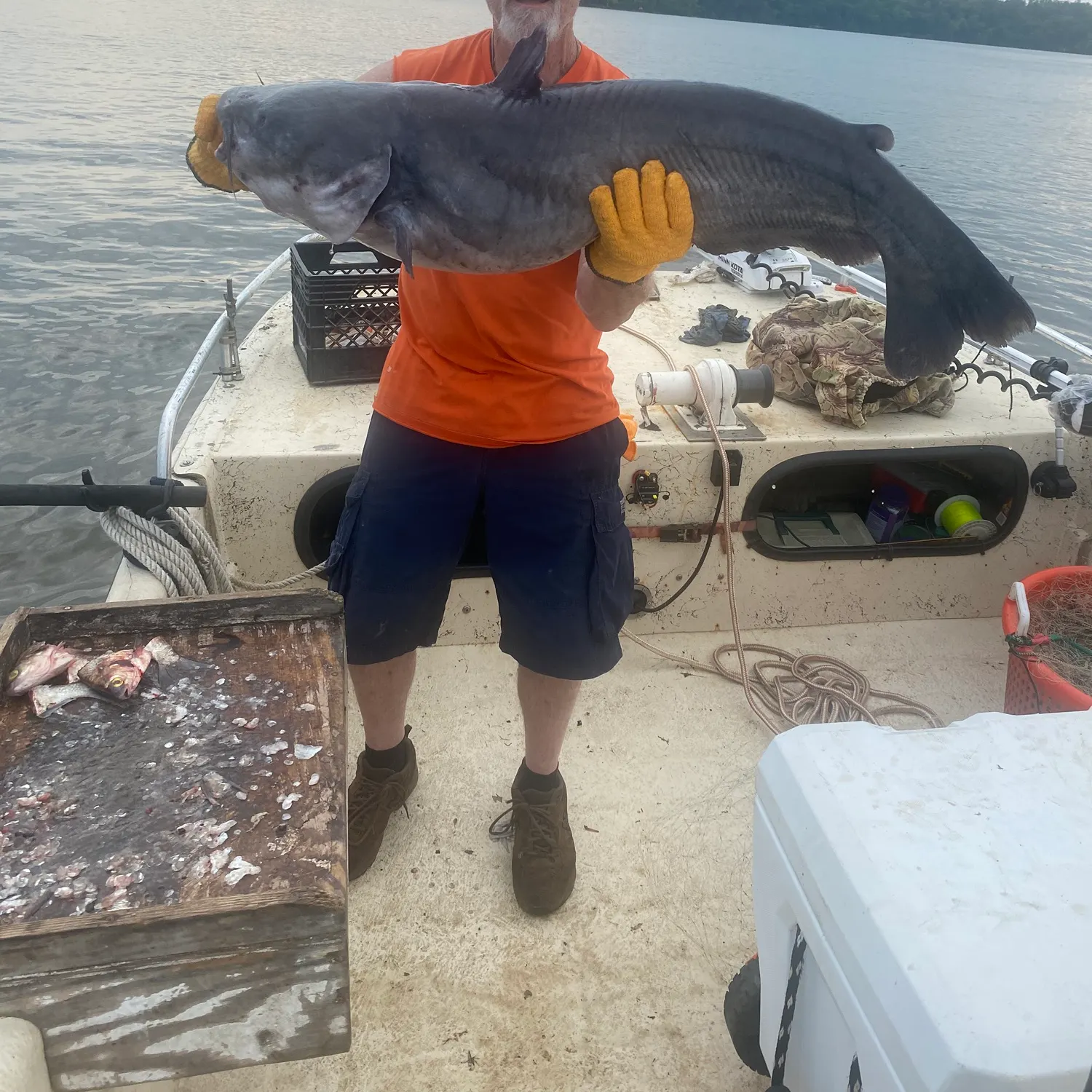 catch