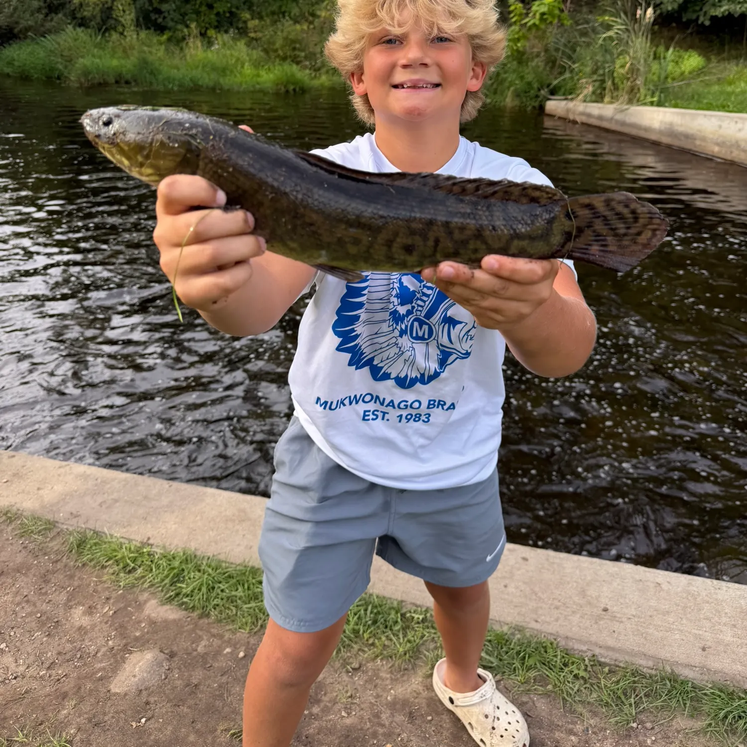 Eyetail bowfin caught on Fishbrain